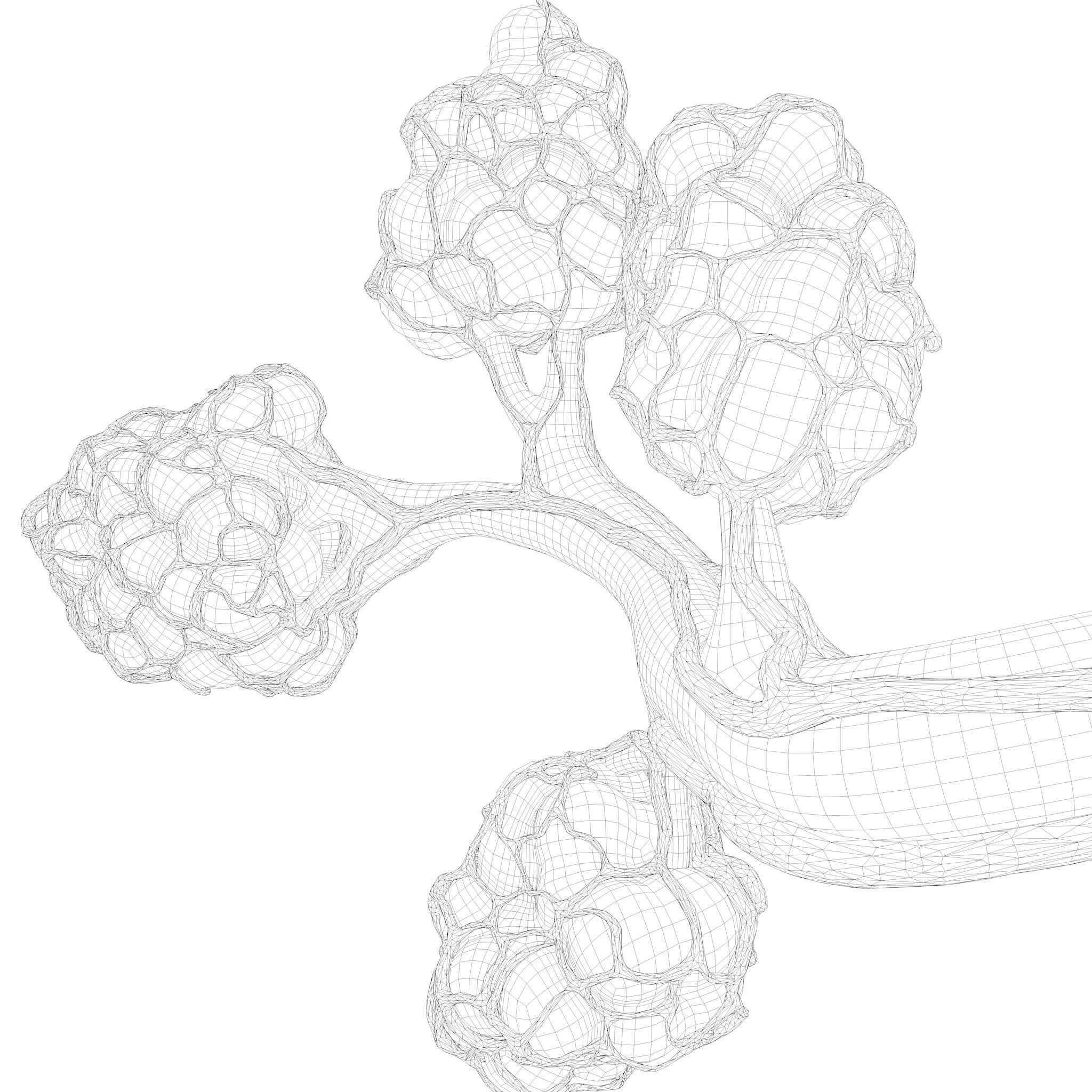 Breast Lactiferous Duct Anatomy 3D model_22