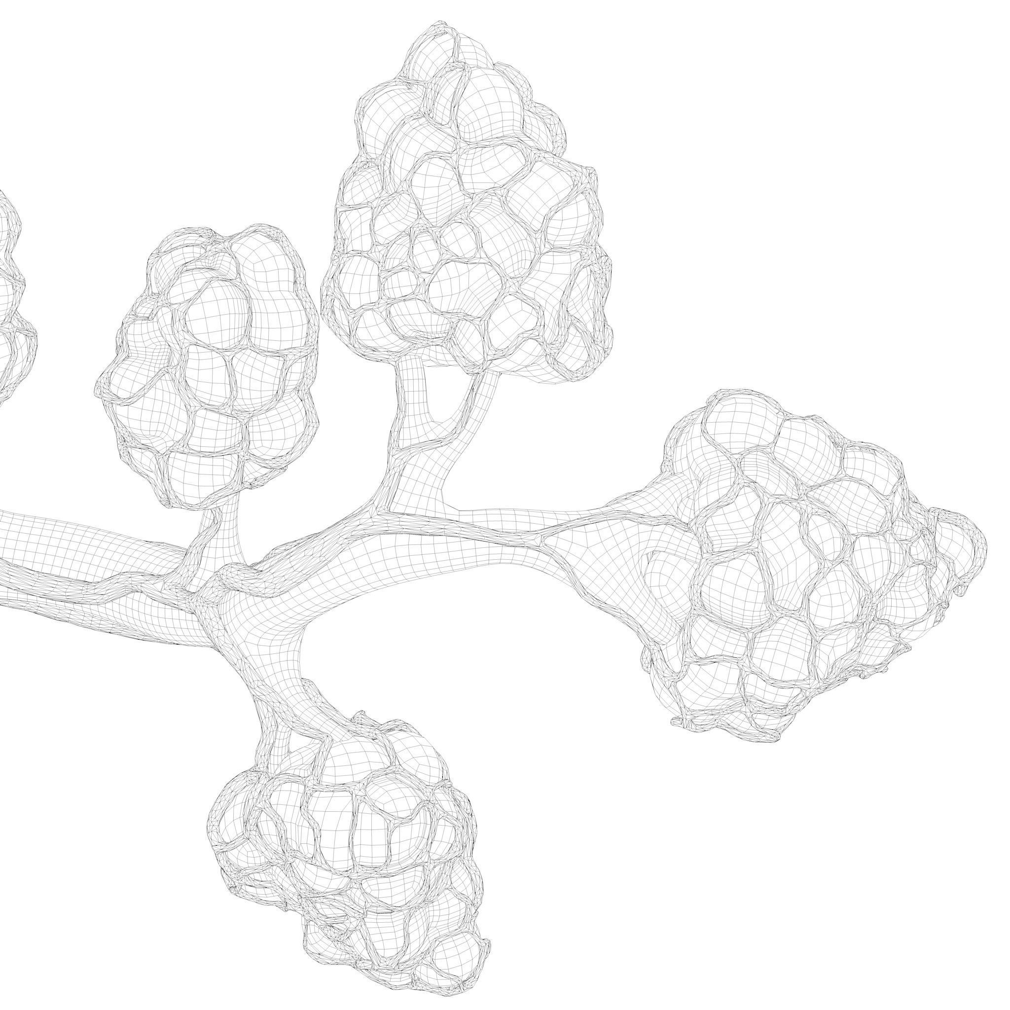 Breast Lactiferous Duct Anatomy 3D model_17