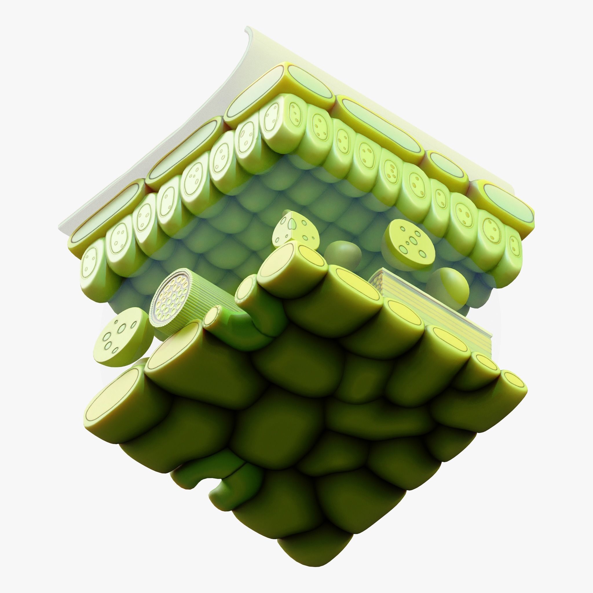 Leaf Anatomy Layers Structure 3D model_6