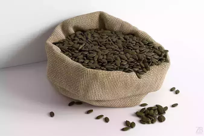 Pumpkin Seed 3D model