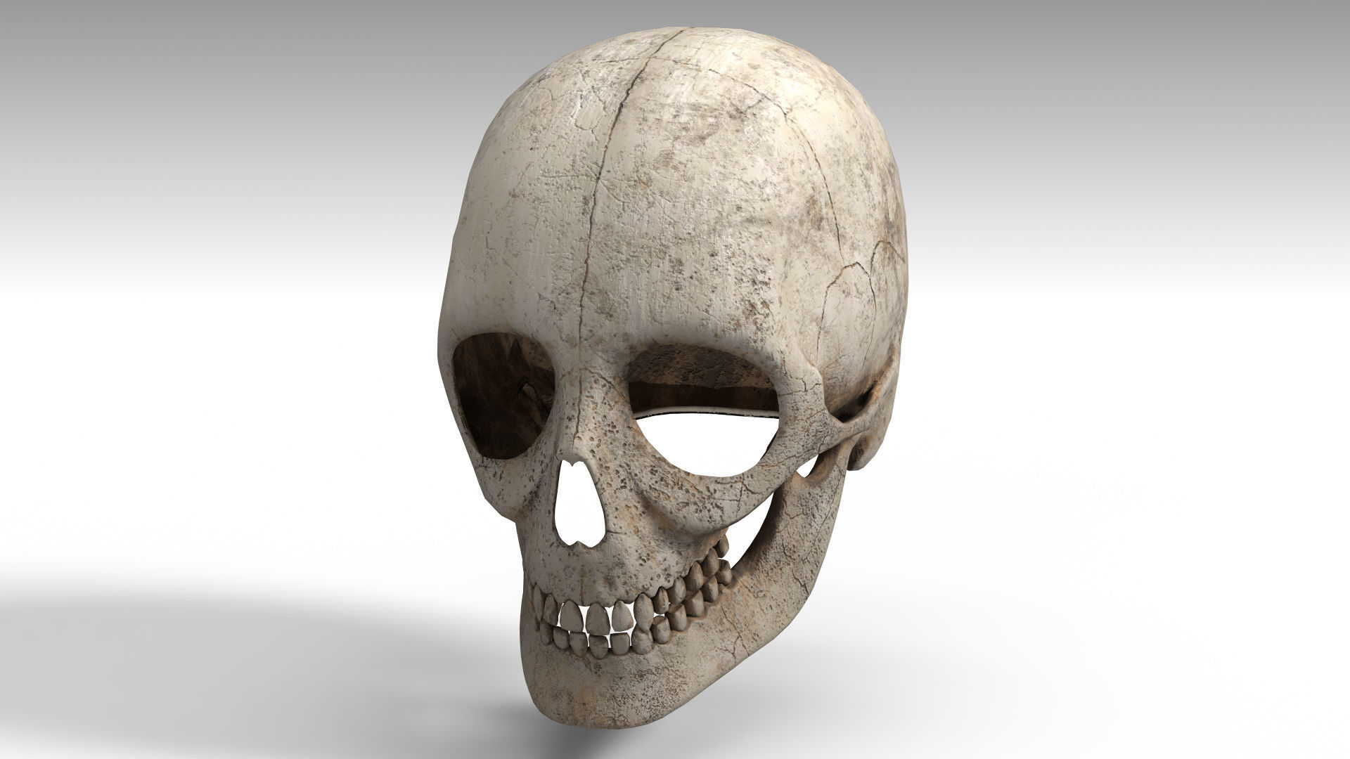 Human Skull PBR Low-poly 3D model_9