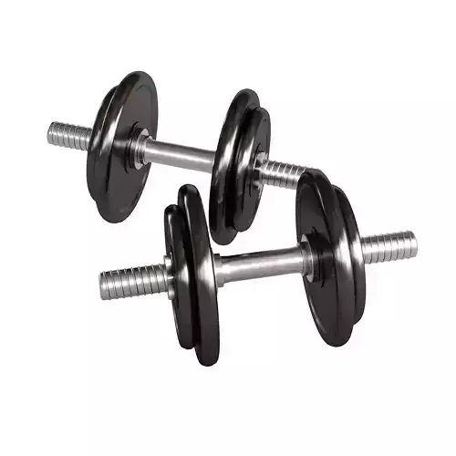 dumbells metal set