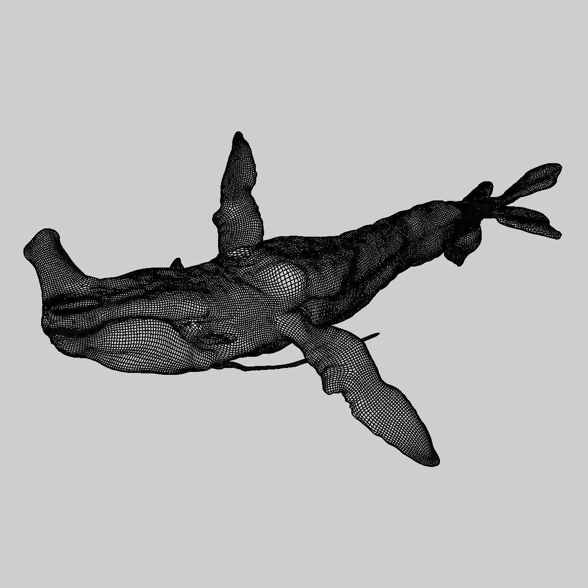 Payakan Tulkun Animated Rigged from Avatar Low-poly 3D model_23