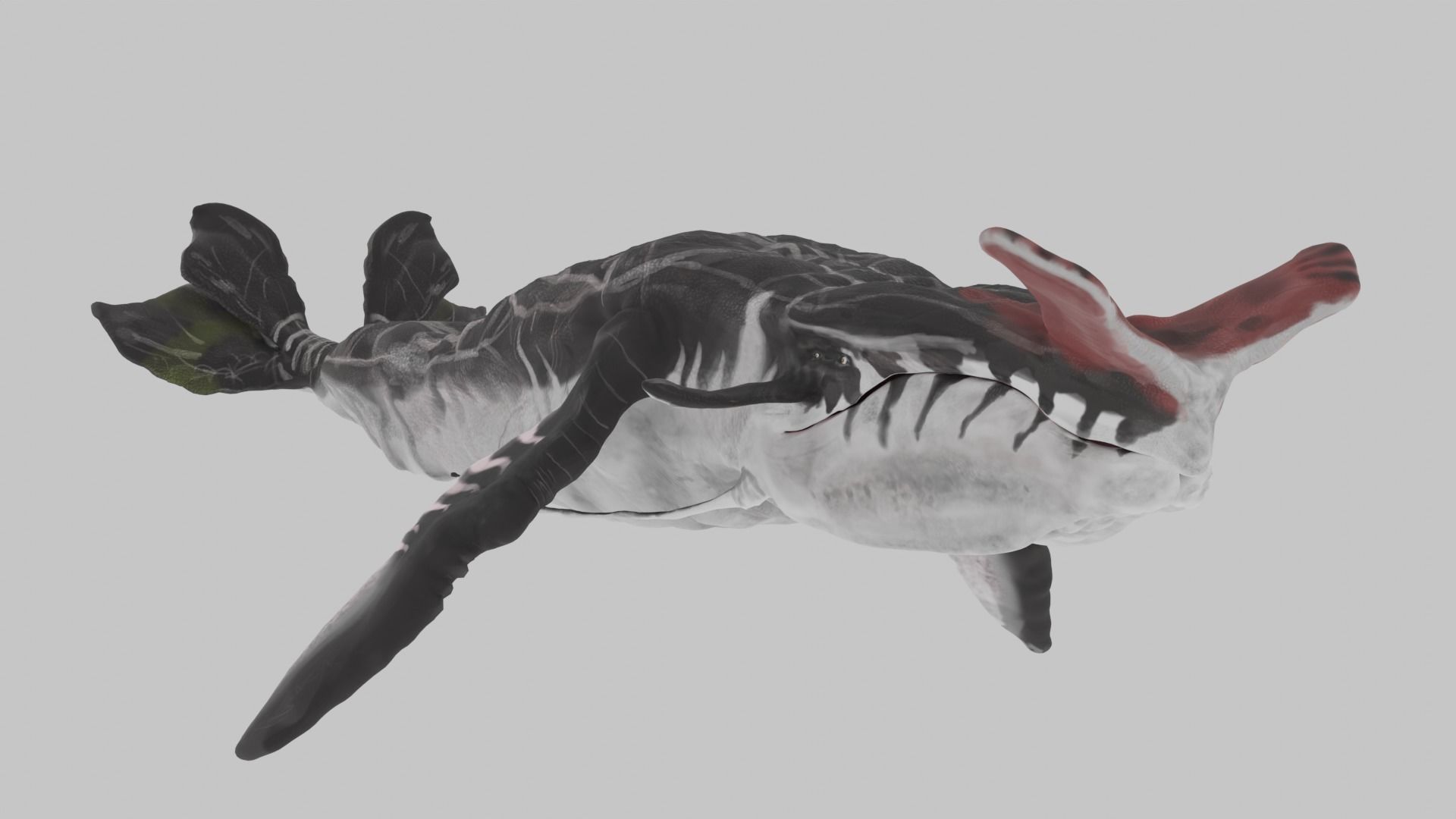 Payakan Tulkun Animated Rigged from Avatar Low-poly 3D model_12