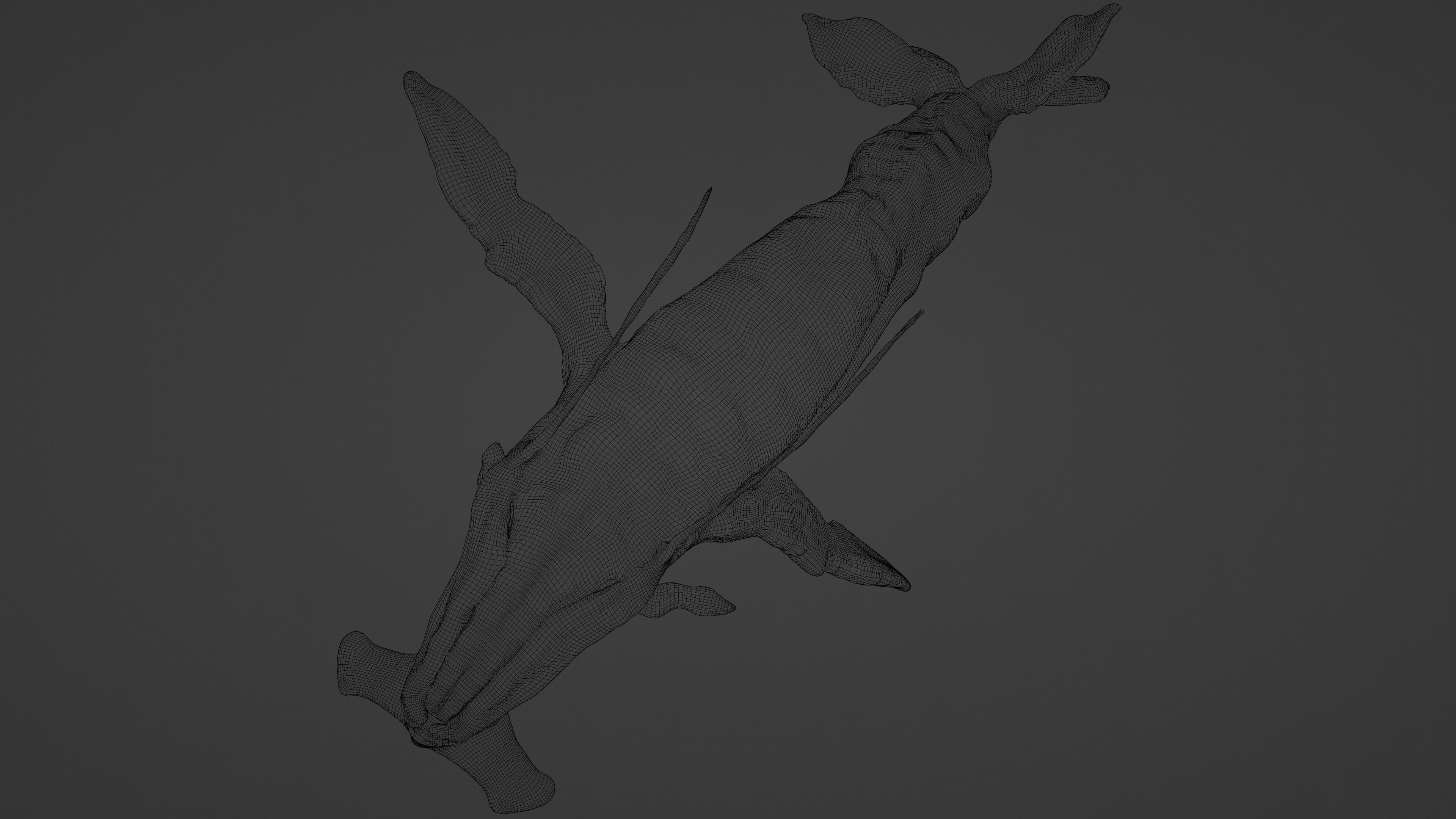 Payakan Tulkun Animated Rigged from Avatar Low-poly 3D model_9