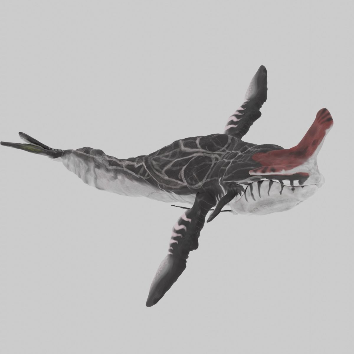 Payakan Tulkun Animated Rigged from Avatar Low-poly 3D model_7