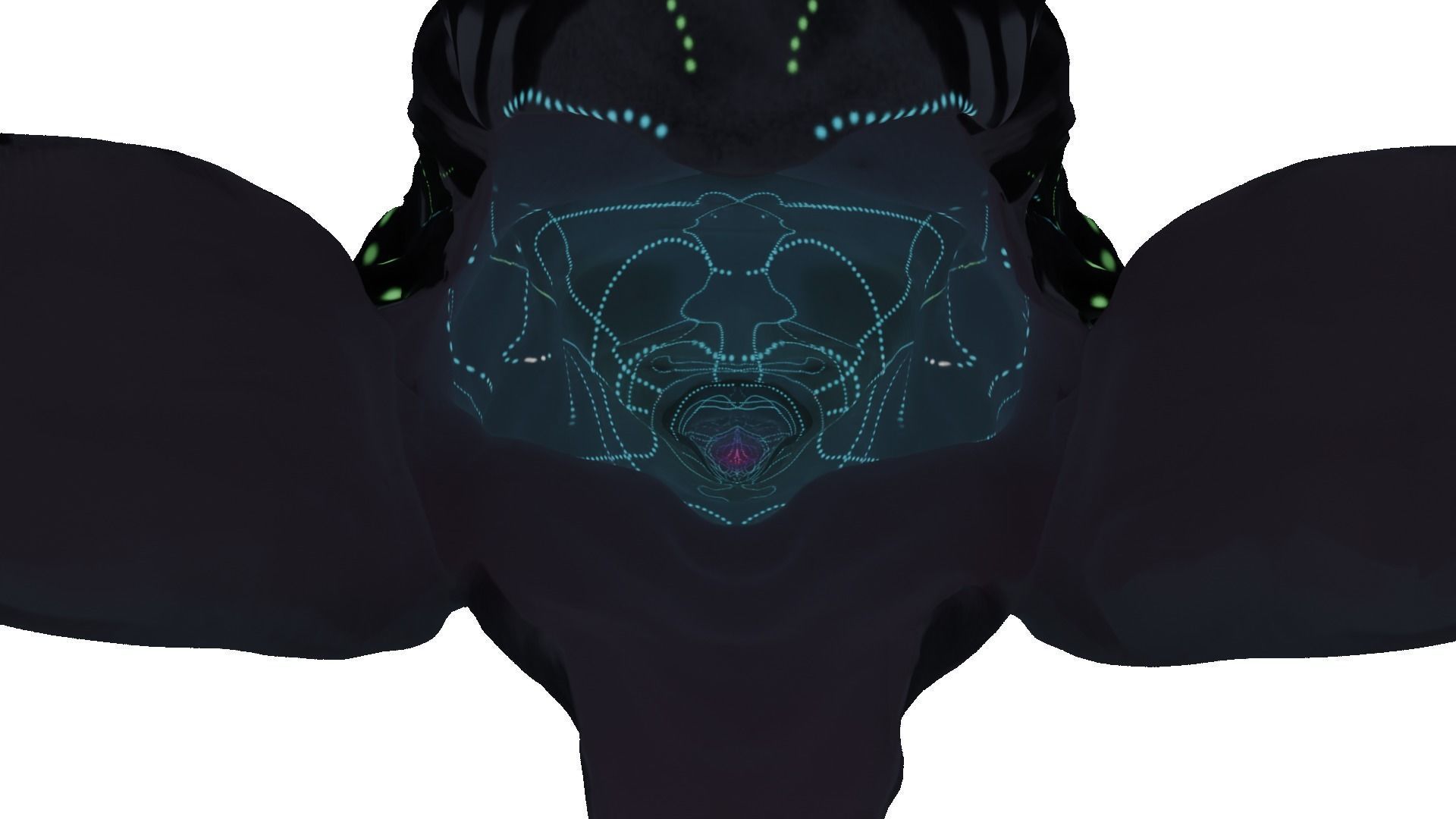 Payakan Tulkun Animated Rigged from Avatar Low-poly 3D model_18