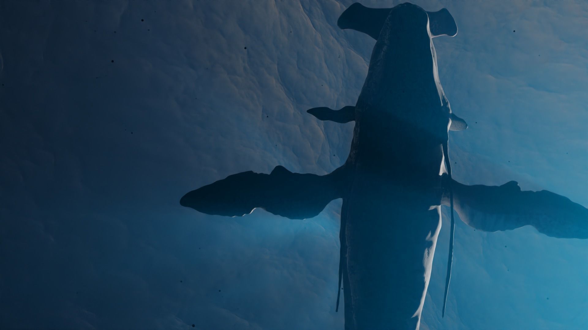 Payakan Tulkun Animated Rigged from Avatar Low-poly 3D model_5