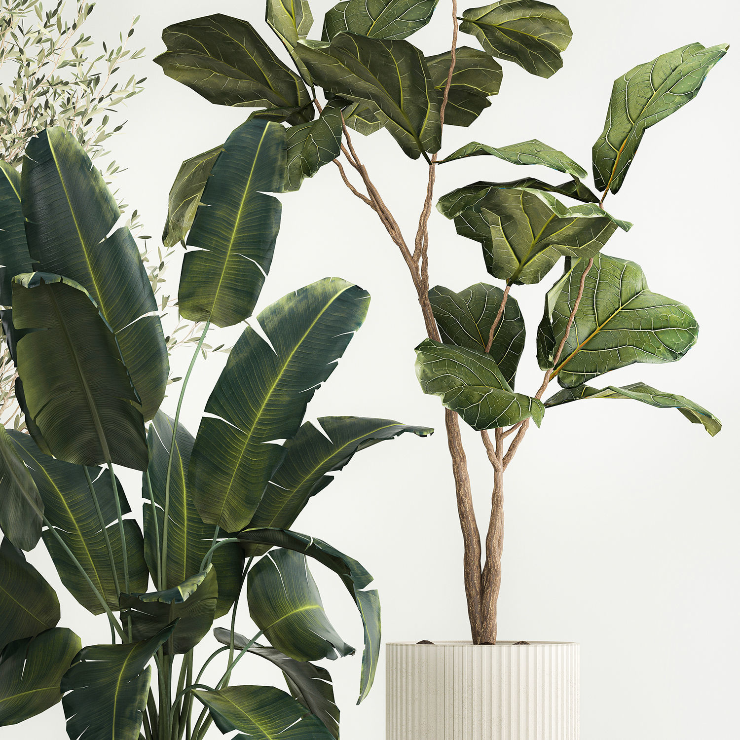 Beautiful plants for the interior in flowerpots 1261 3D model_9