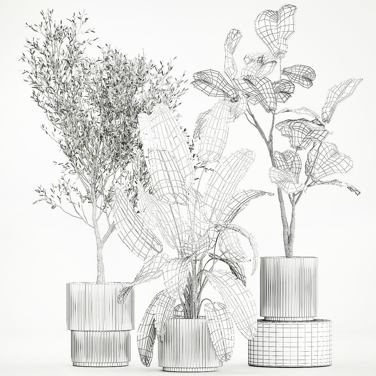 Beautiful plants for the interior in flowerpots 1261 3D model_12