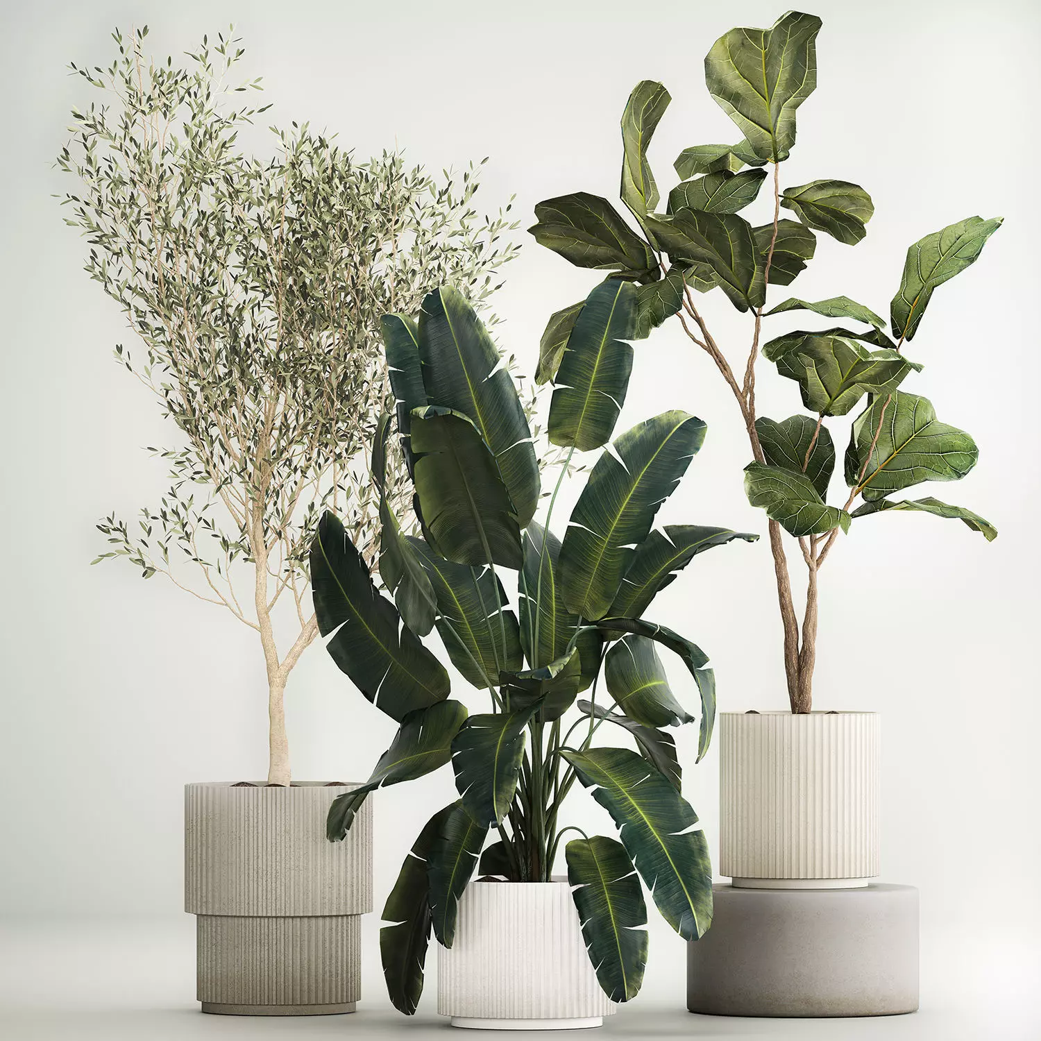 Beautiful plants for the interior in flowerpots 1261 3D model_0