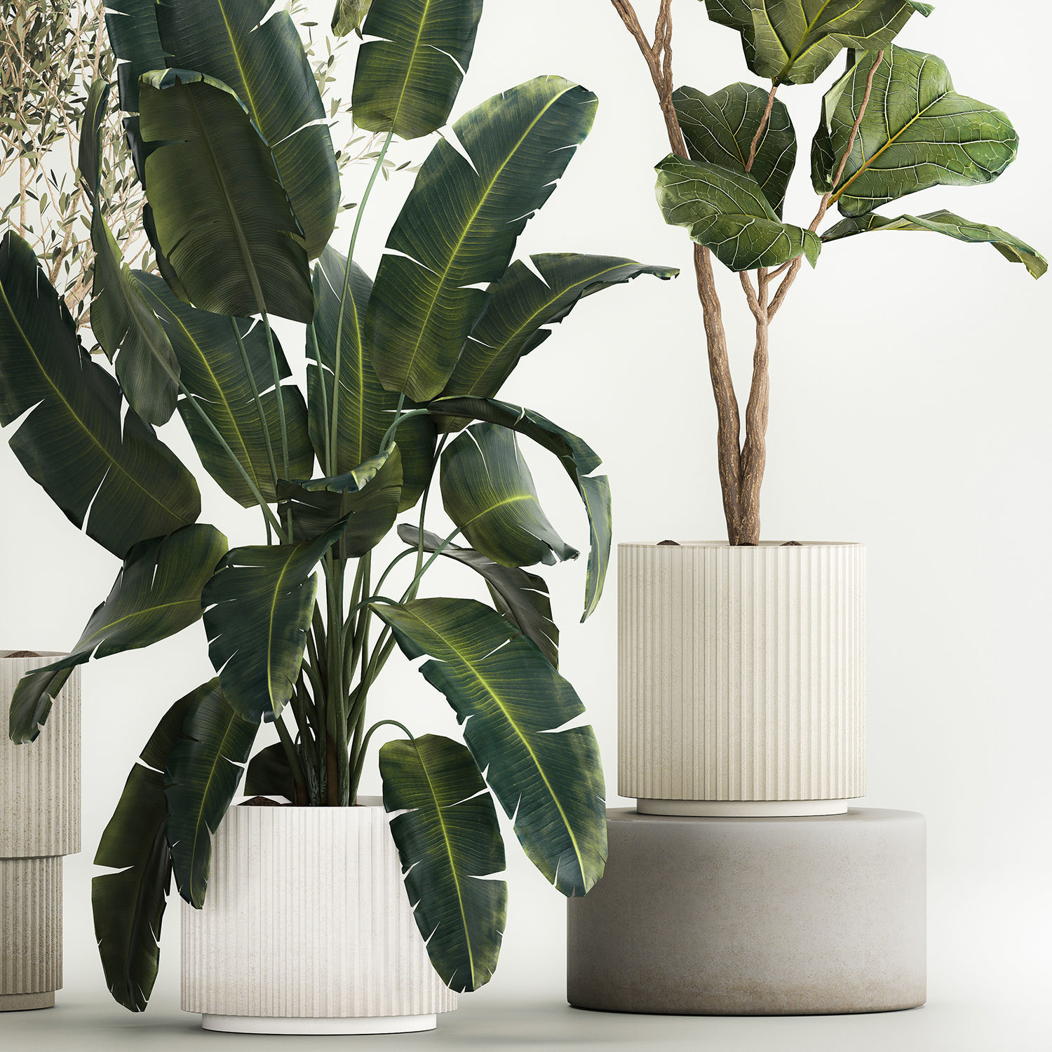 Beautiful plants for the interior in flowerpots 1261 3D model_10