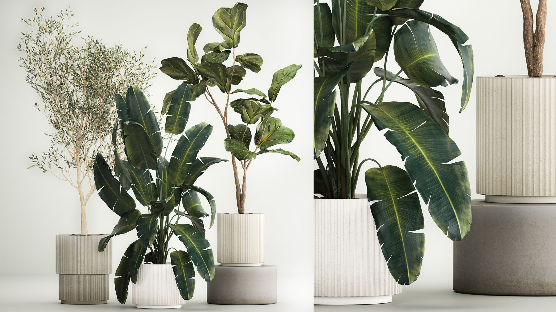Beautiful plants for the interior in flowerpots 1261 3D model_1