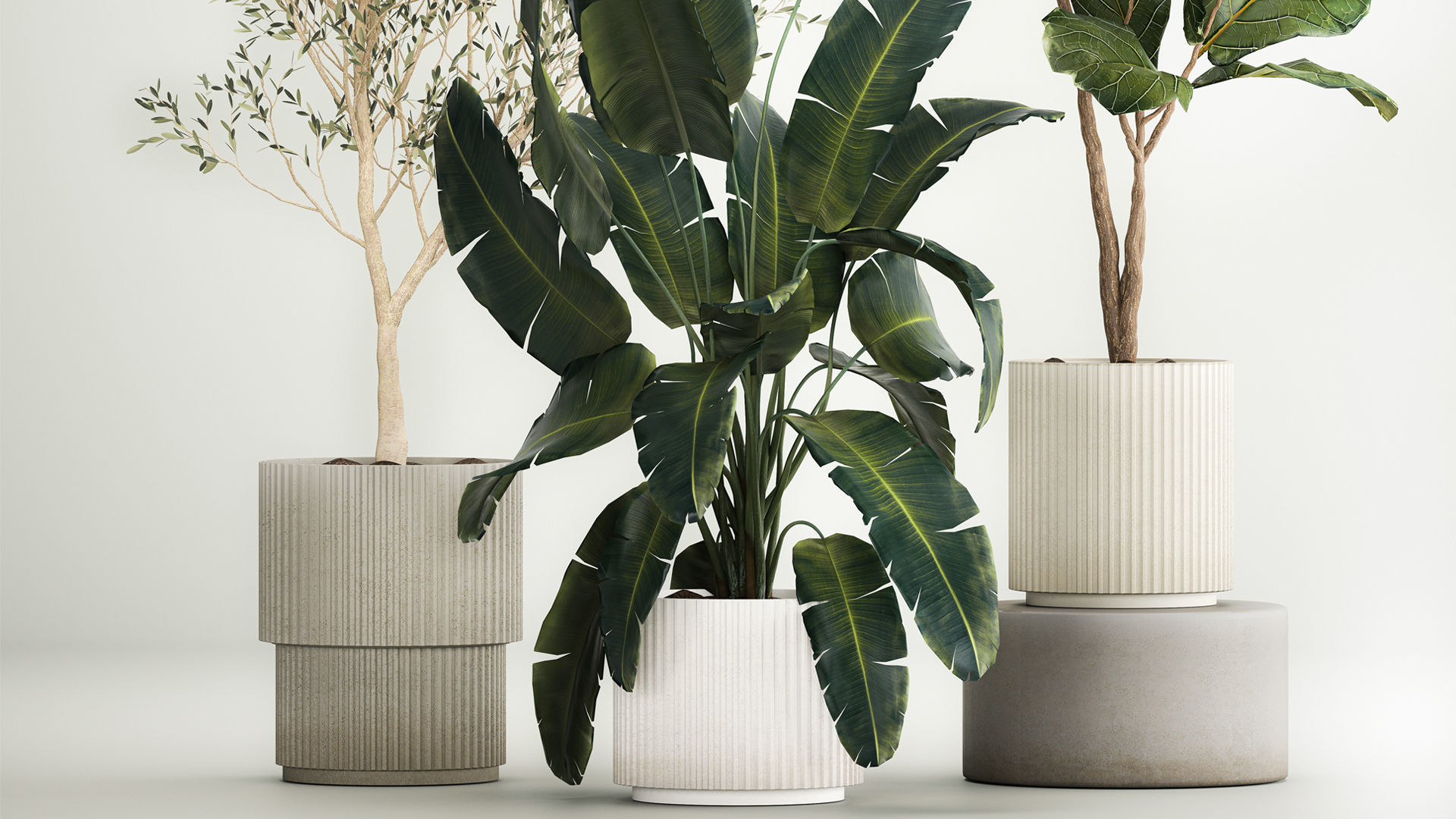 Beautiful plants for the interior in flowerpots 1261 3D model_3