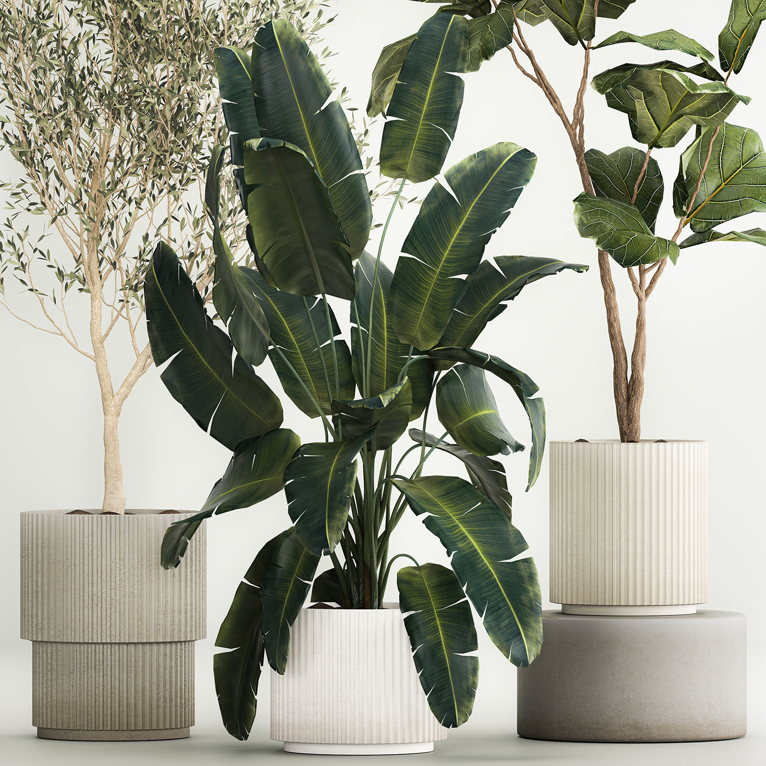 Beautiful plants for the interior in flowerpots 1261 3D model_8