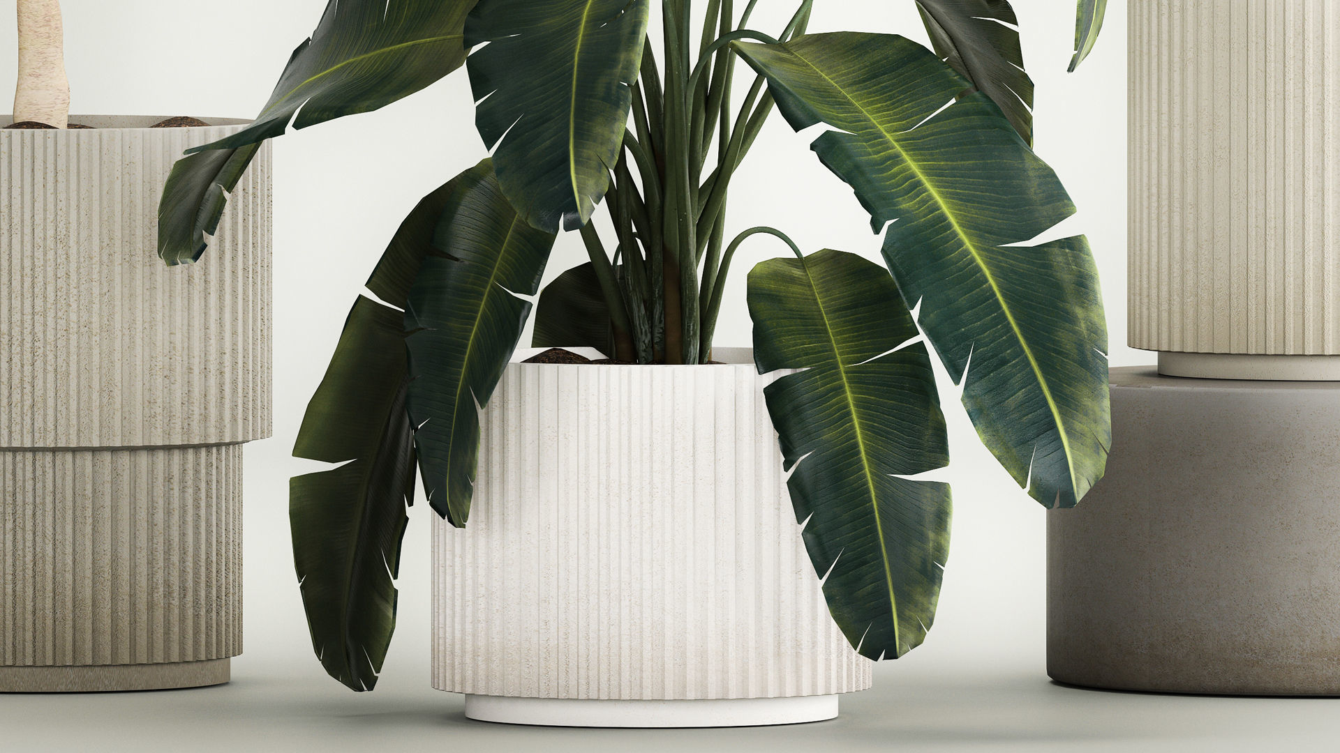 Beautiful plants for the interior in flowerpots 1261 3D model_6