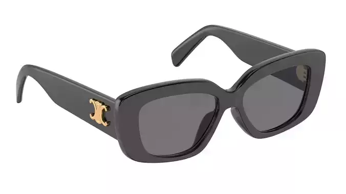Triomphe 04 sunglasses in Acetate