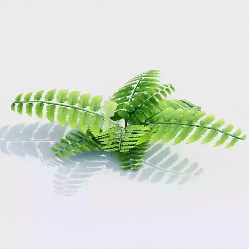 Grass Fern Game Ready Low Poly