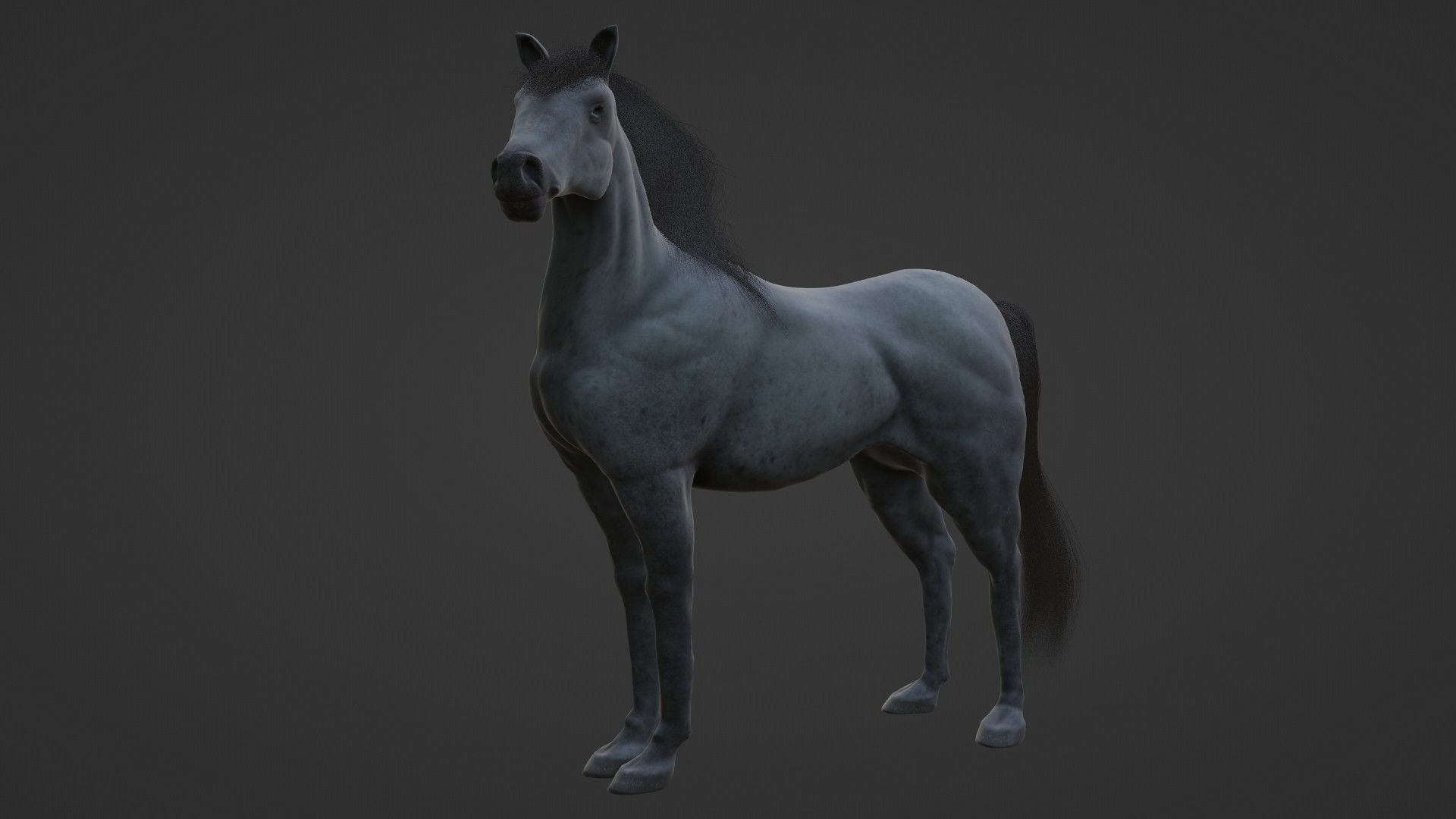 Horse 3D model_10
