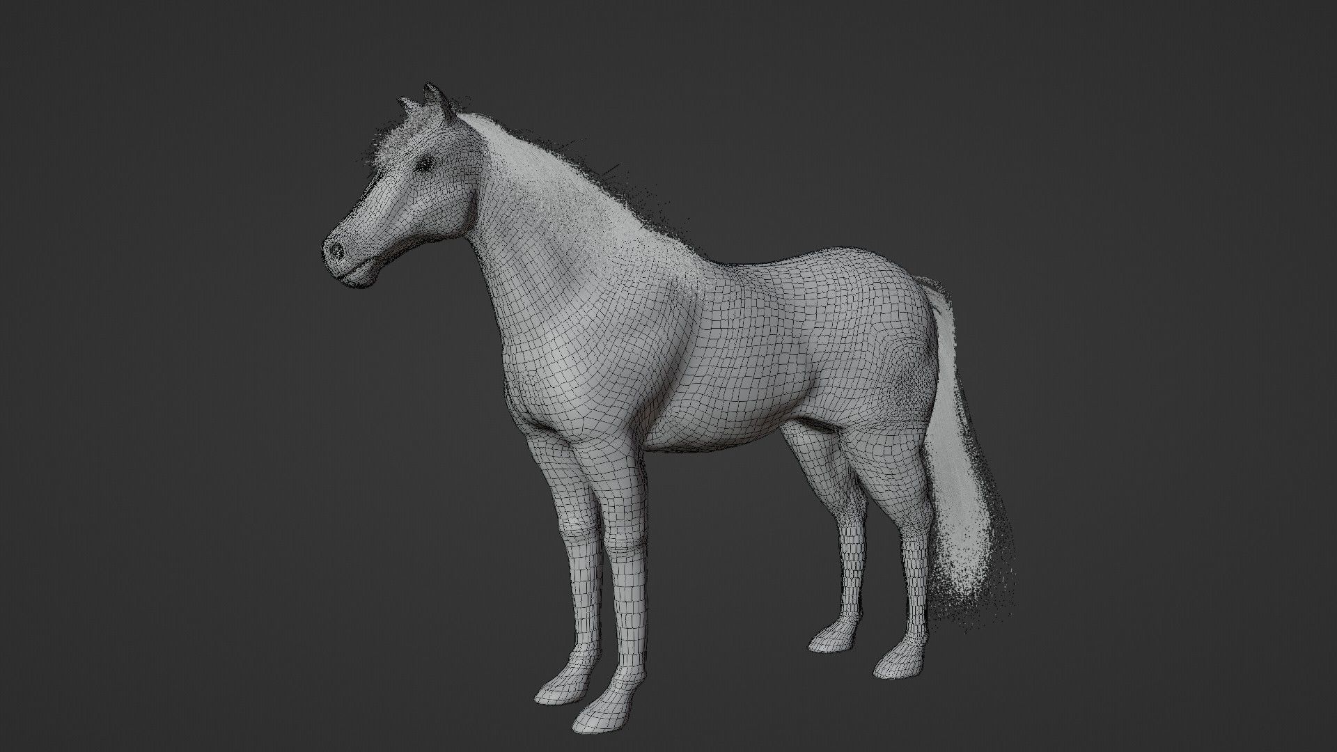 Horse 3D model_25