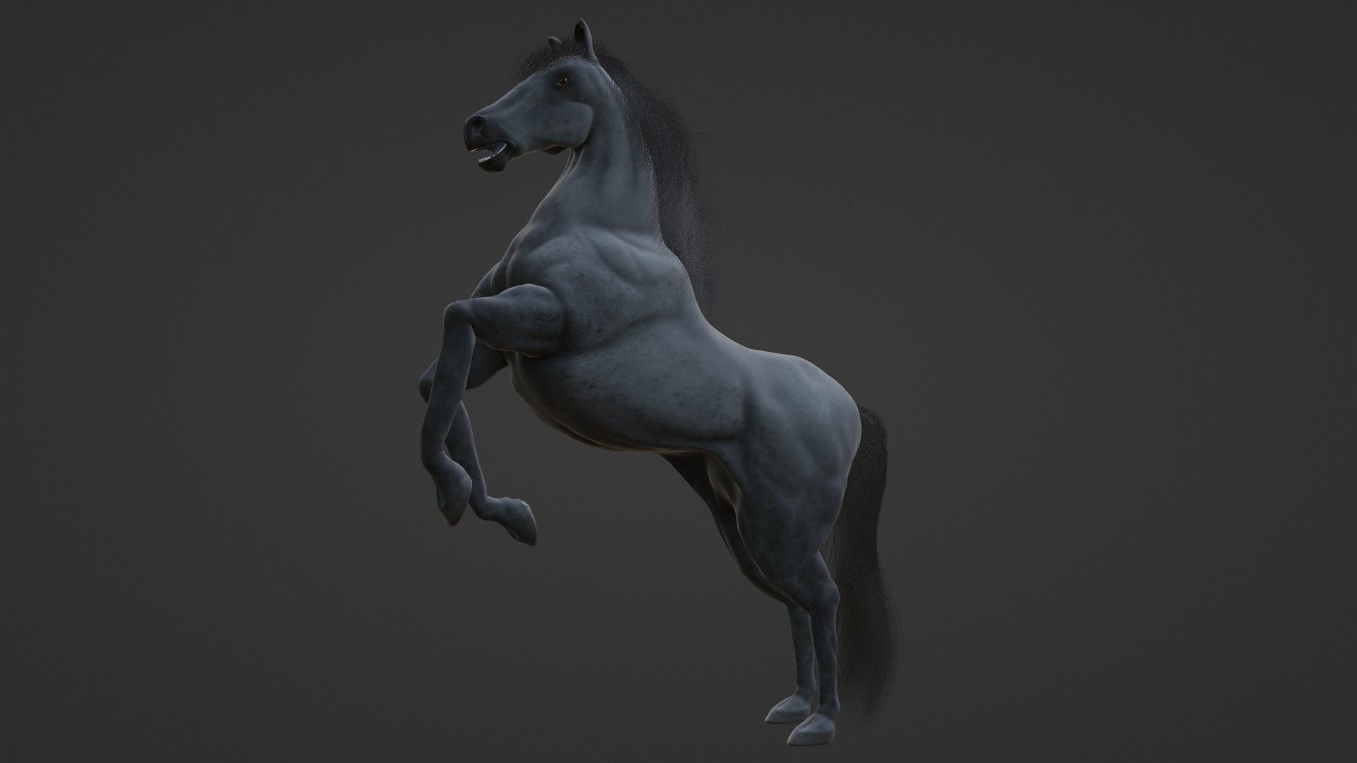 Horse 3D model_7