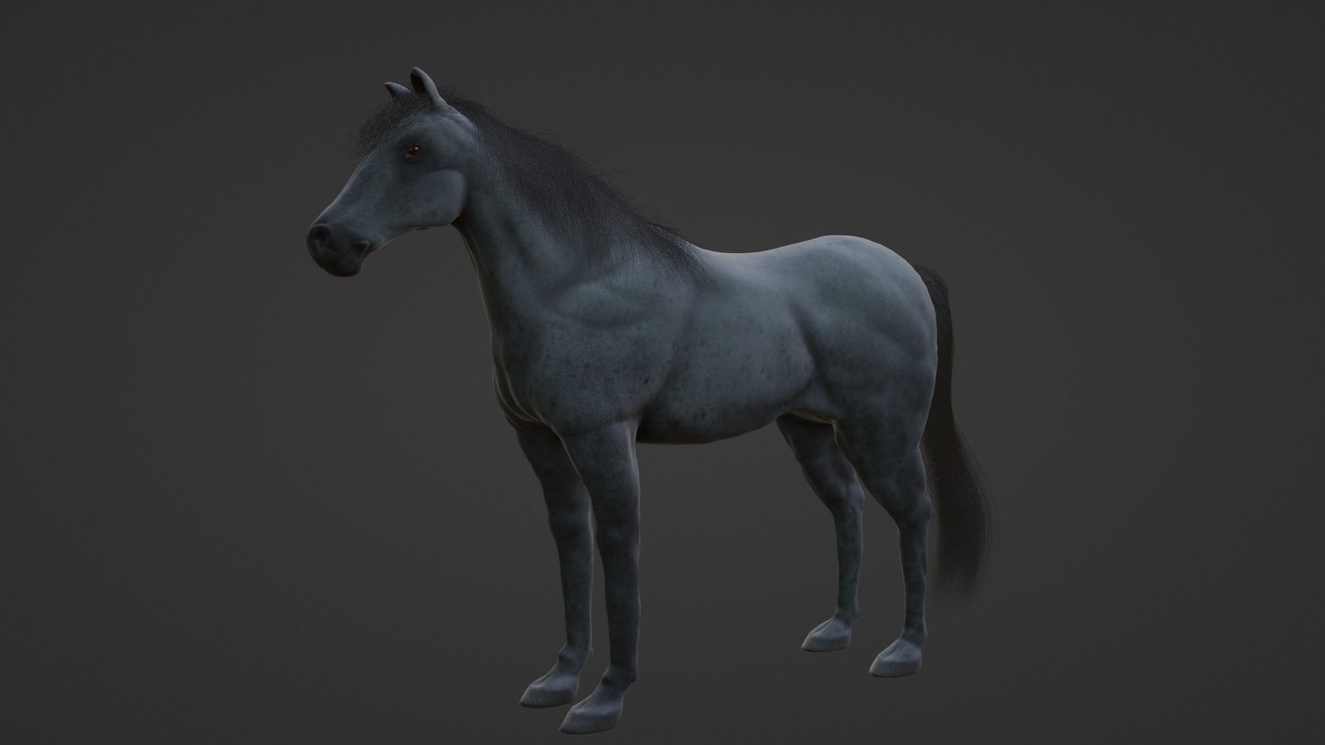 Horse 3D model_9
