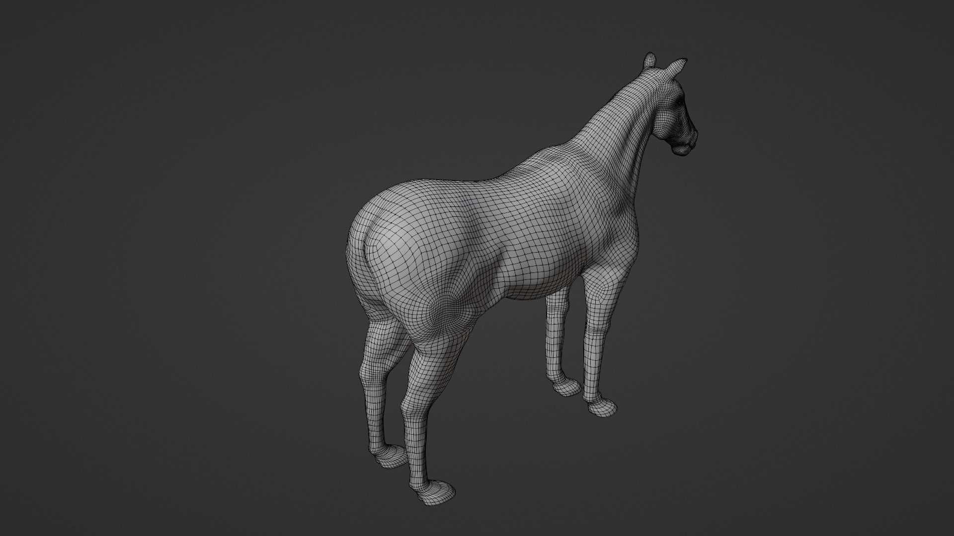 Horse 3D model_18
