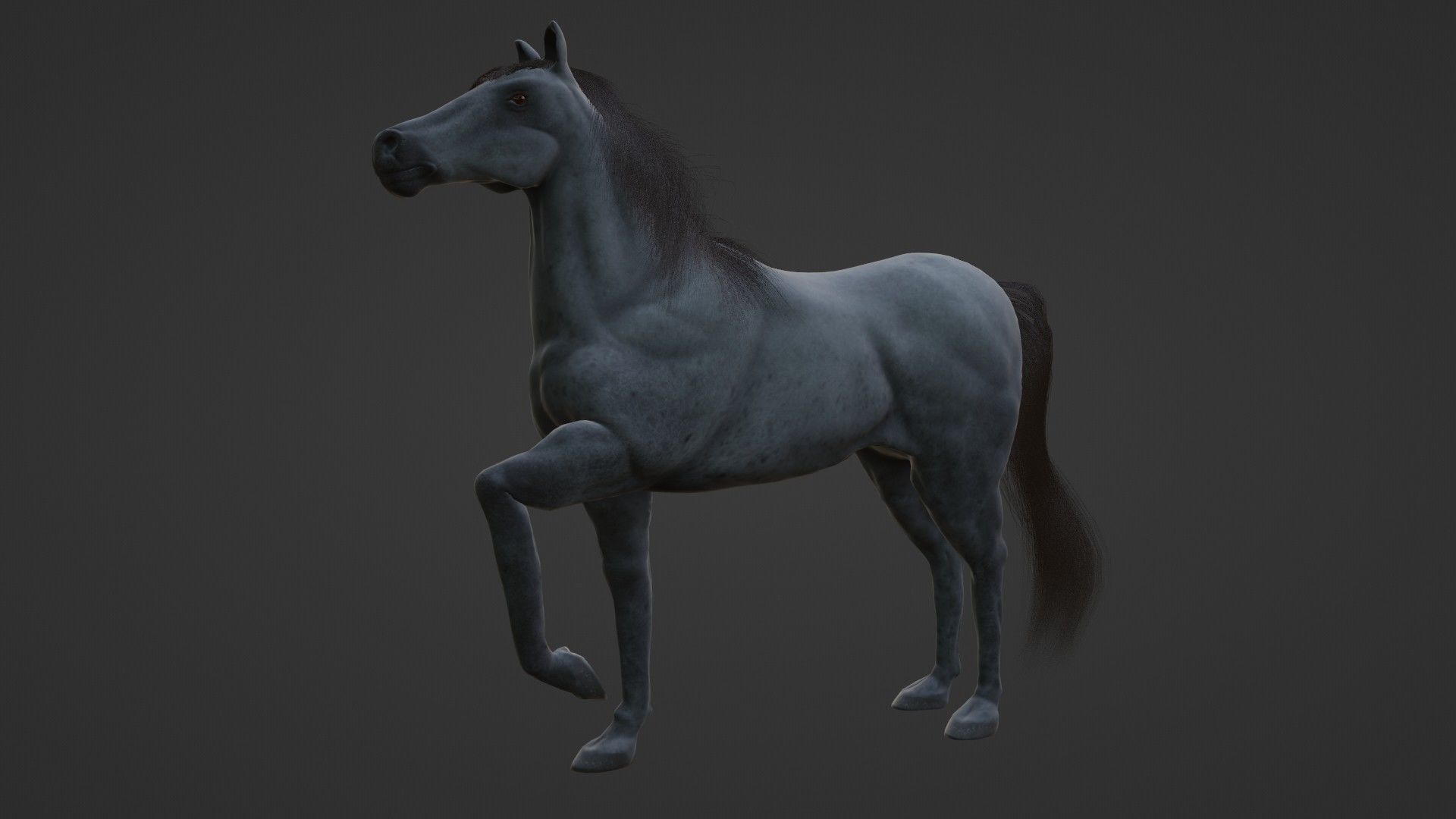Horse 3D model_12