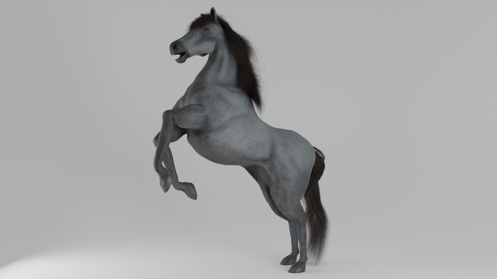 Horse 3D model_3