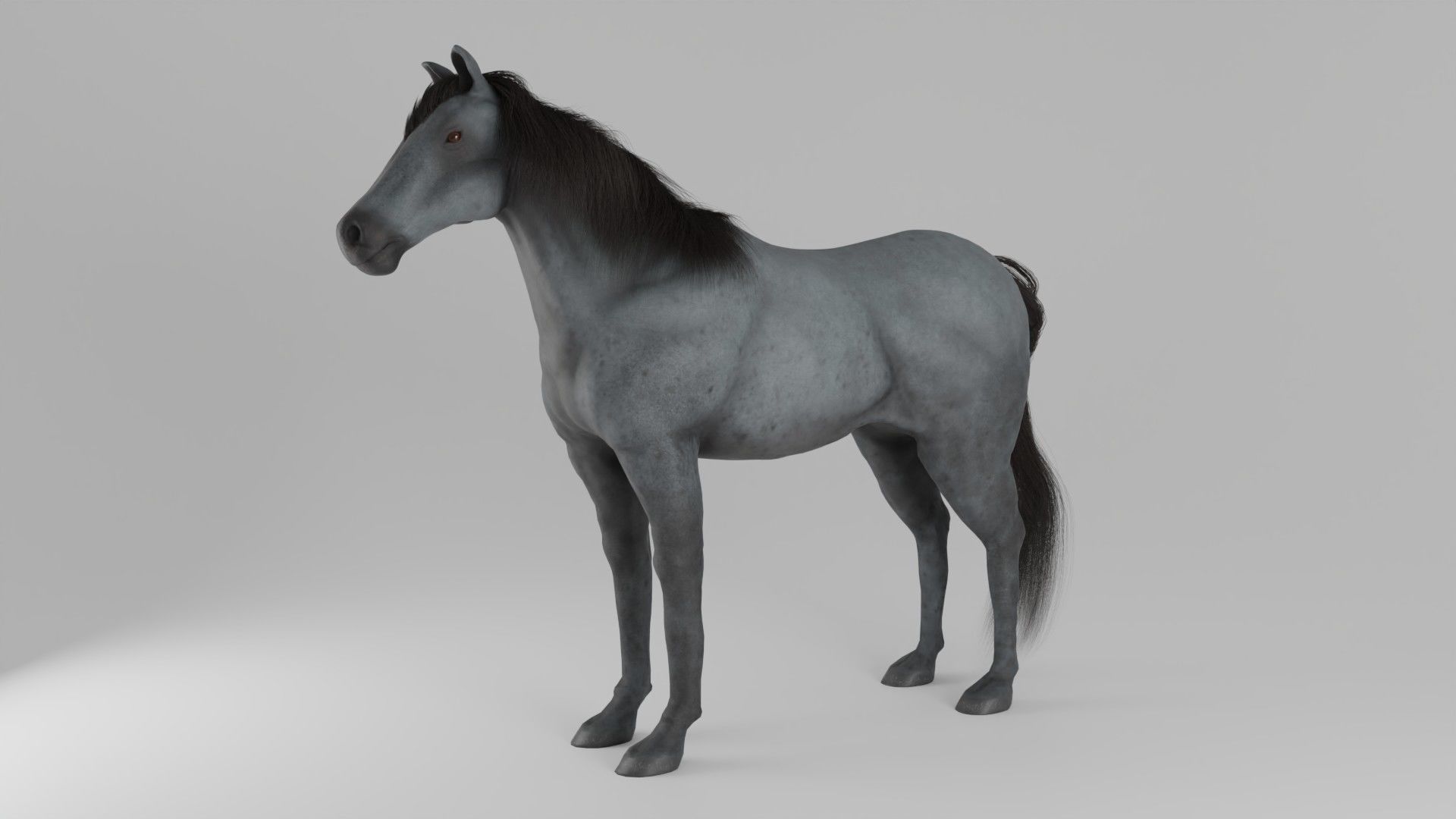 Horse 3D model_6