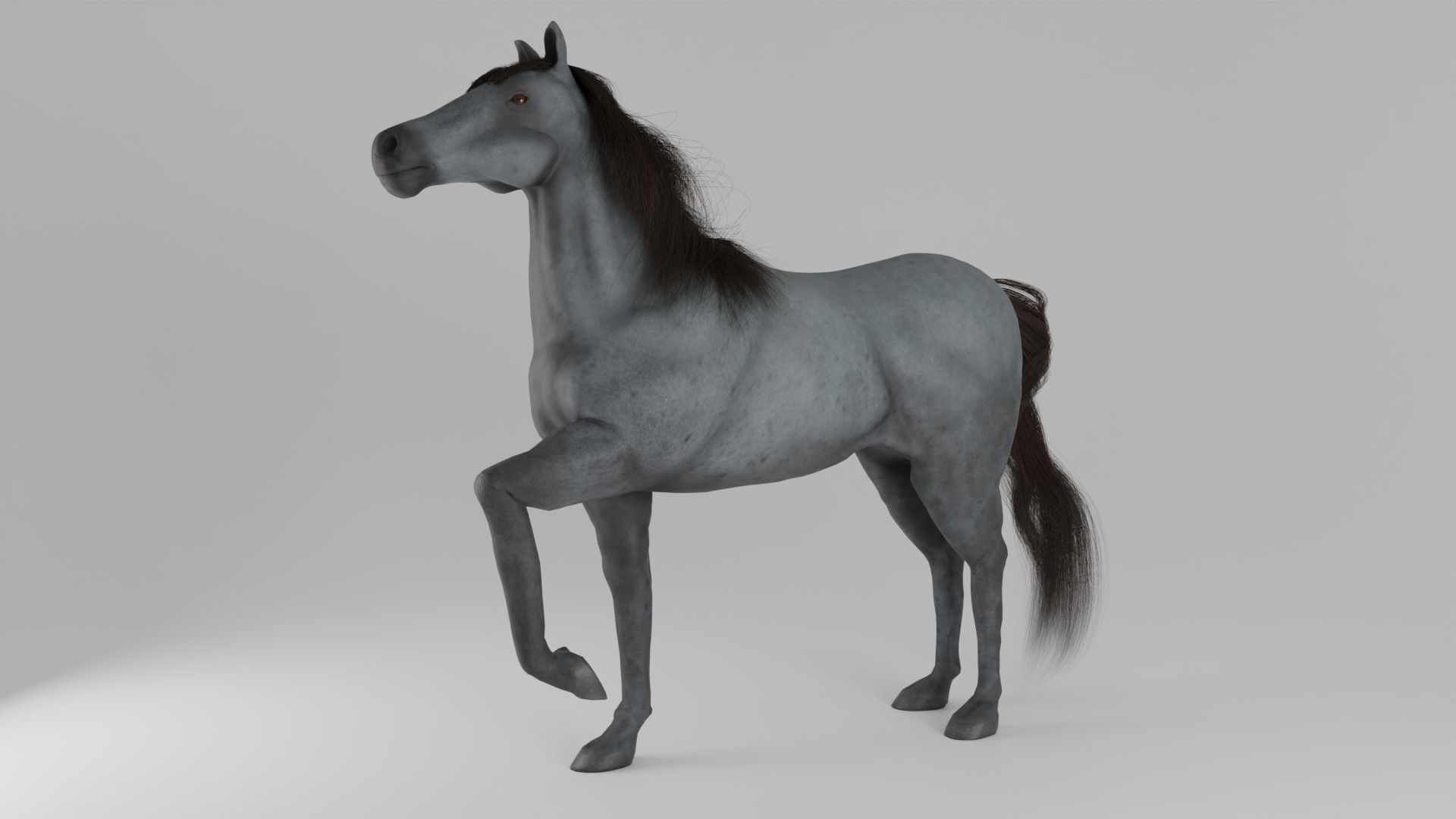 Horse 3D model_5