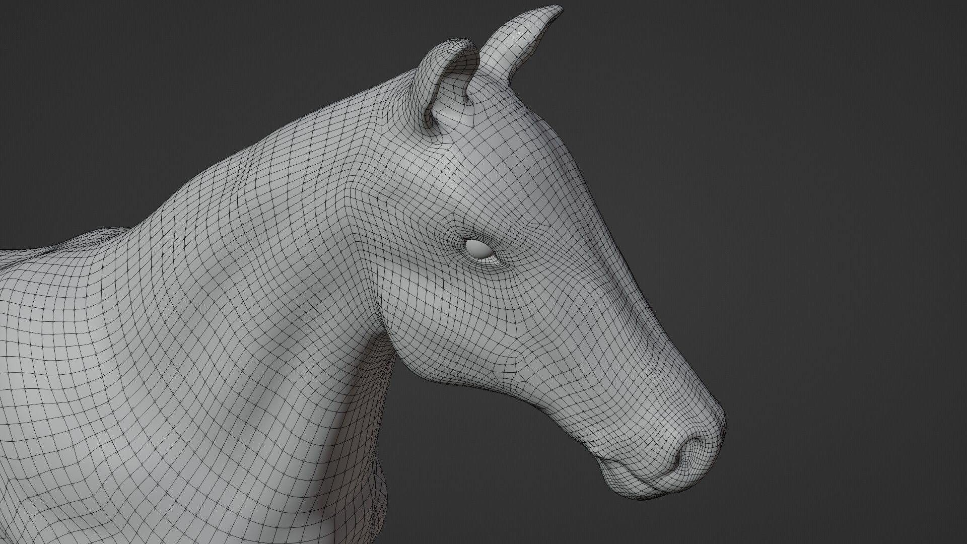Horse 3D model_19
