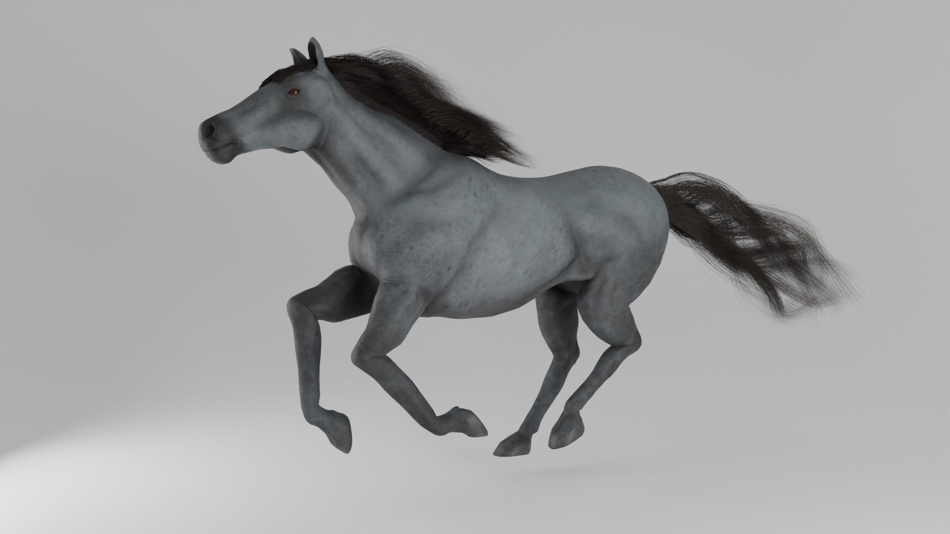 Horse 3D model_2
