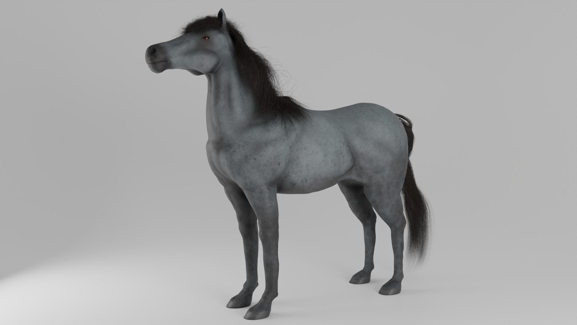 Horse 3D model_4