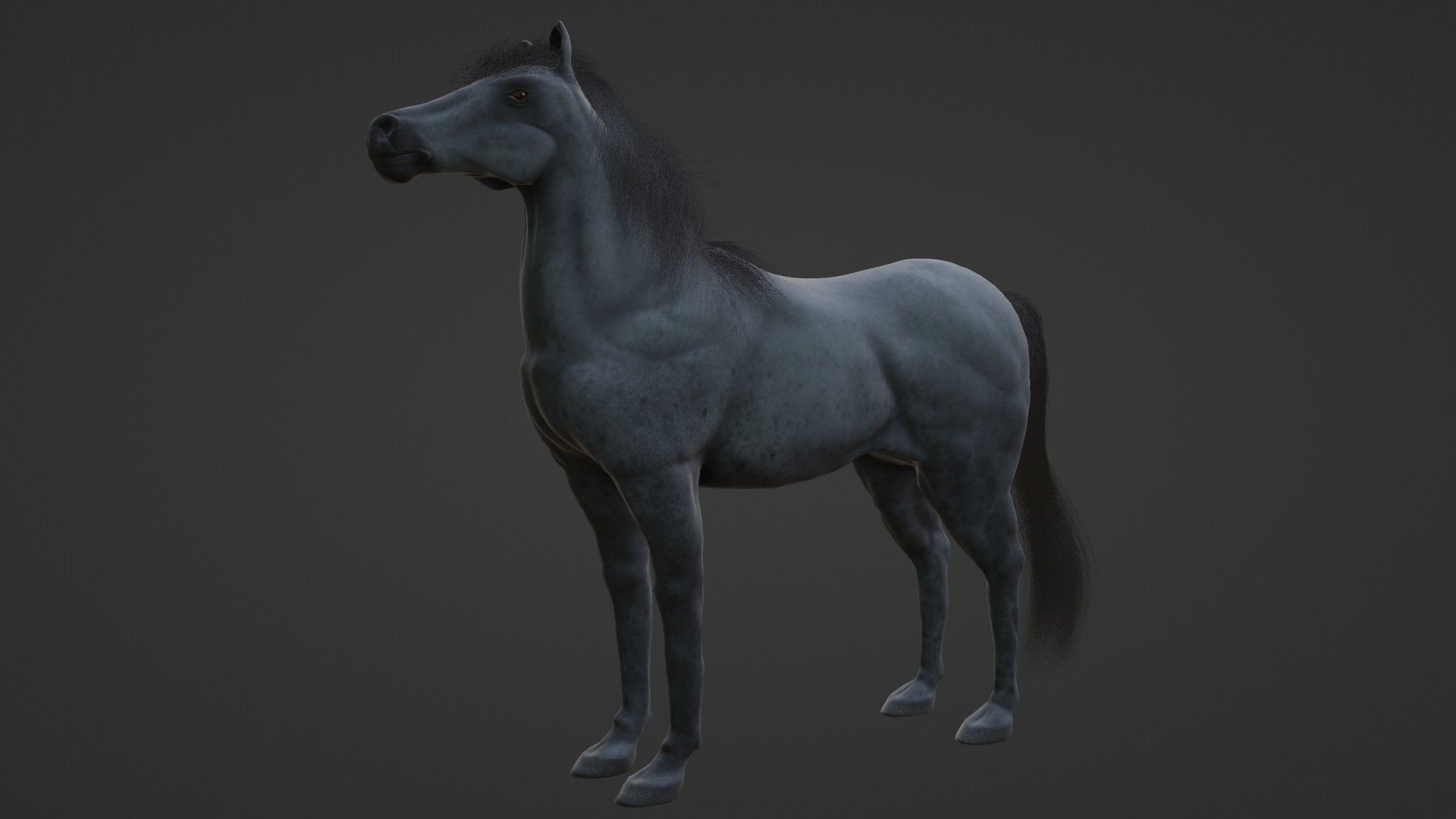 Horse 3D model_8