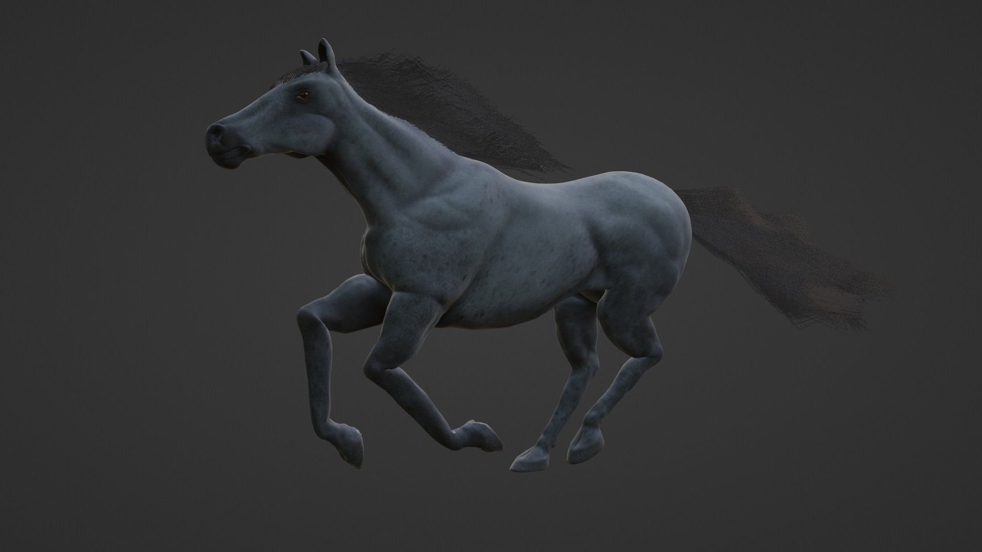 Horse 3D model_11