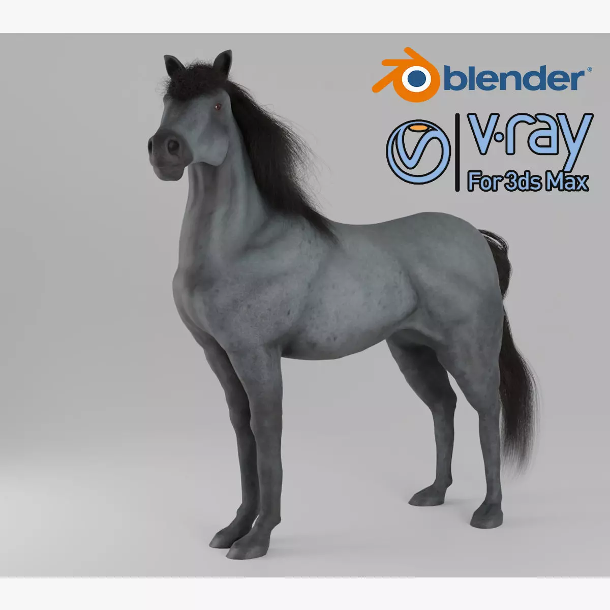 Horse 3D model_0