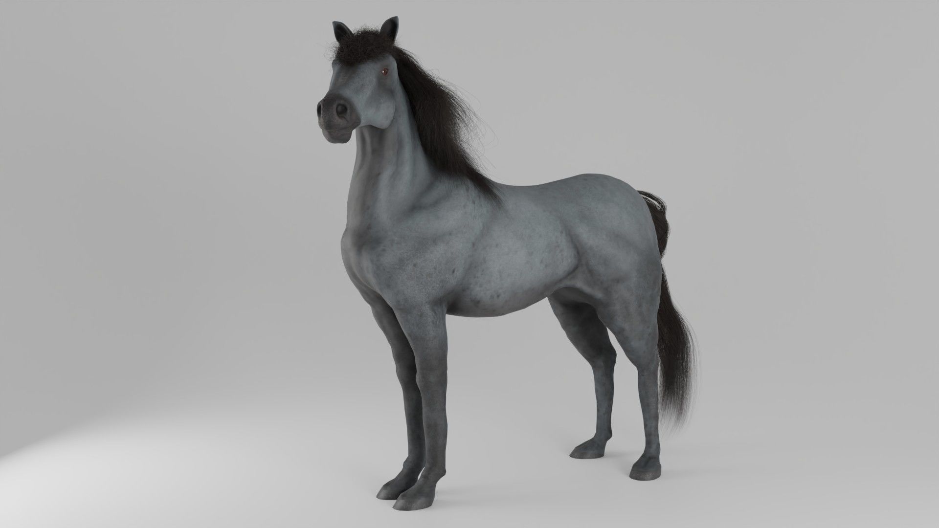 Horse 3D model_1