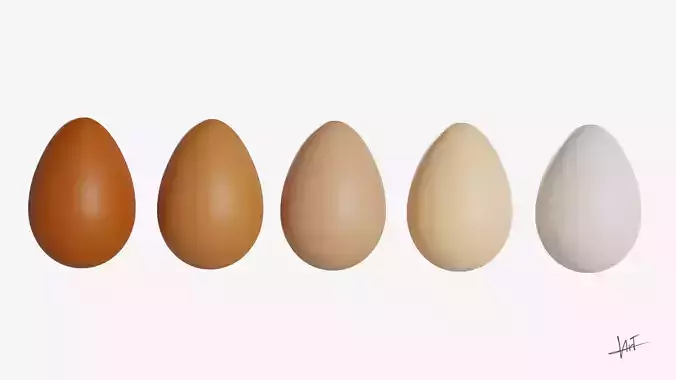  Realistic Eggs - 5 Variations 3D model