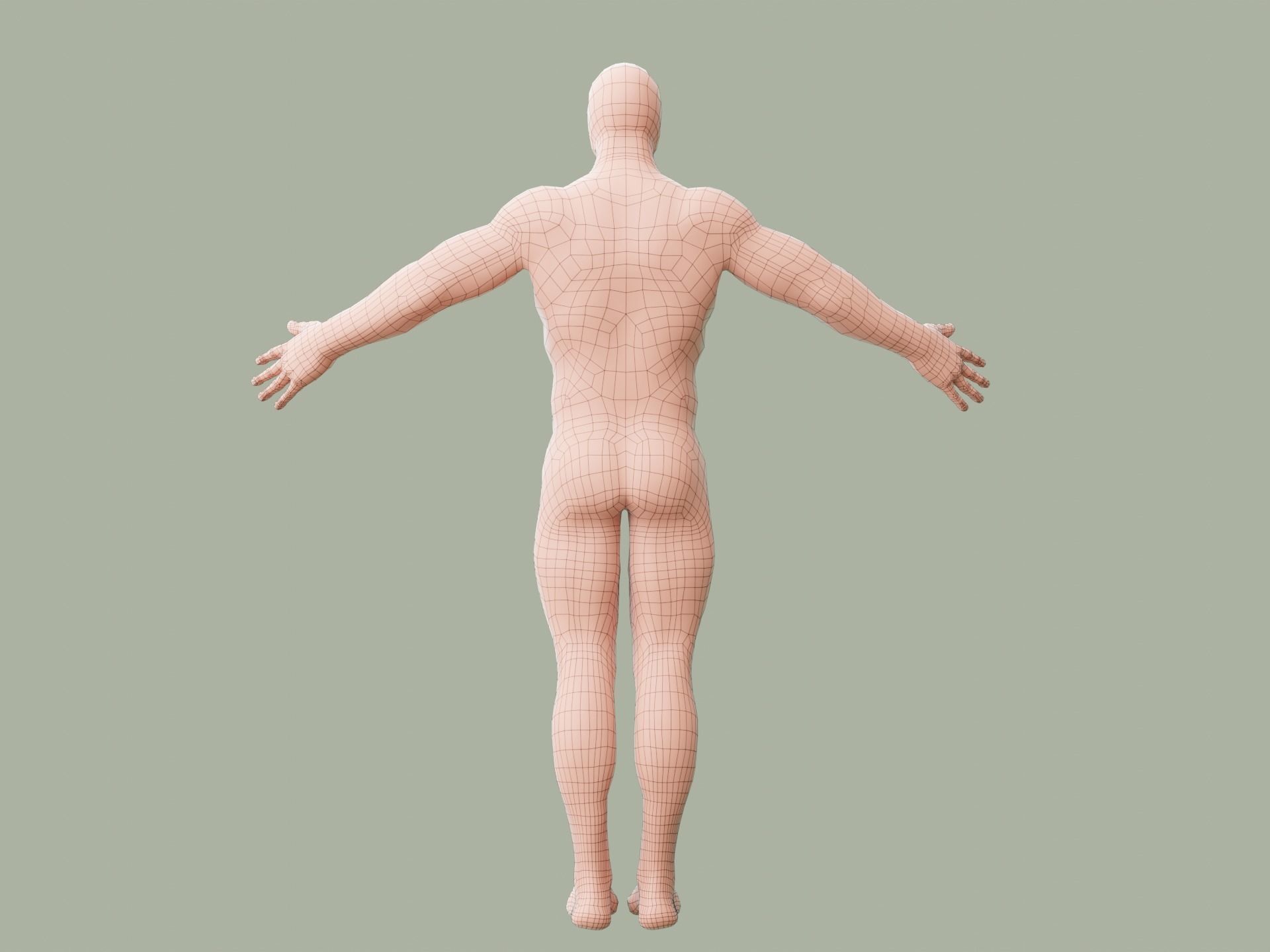 Human base model Low-poly 3D model_12