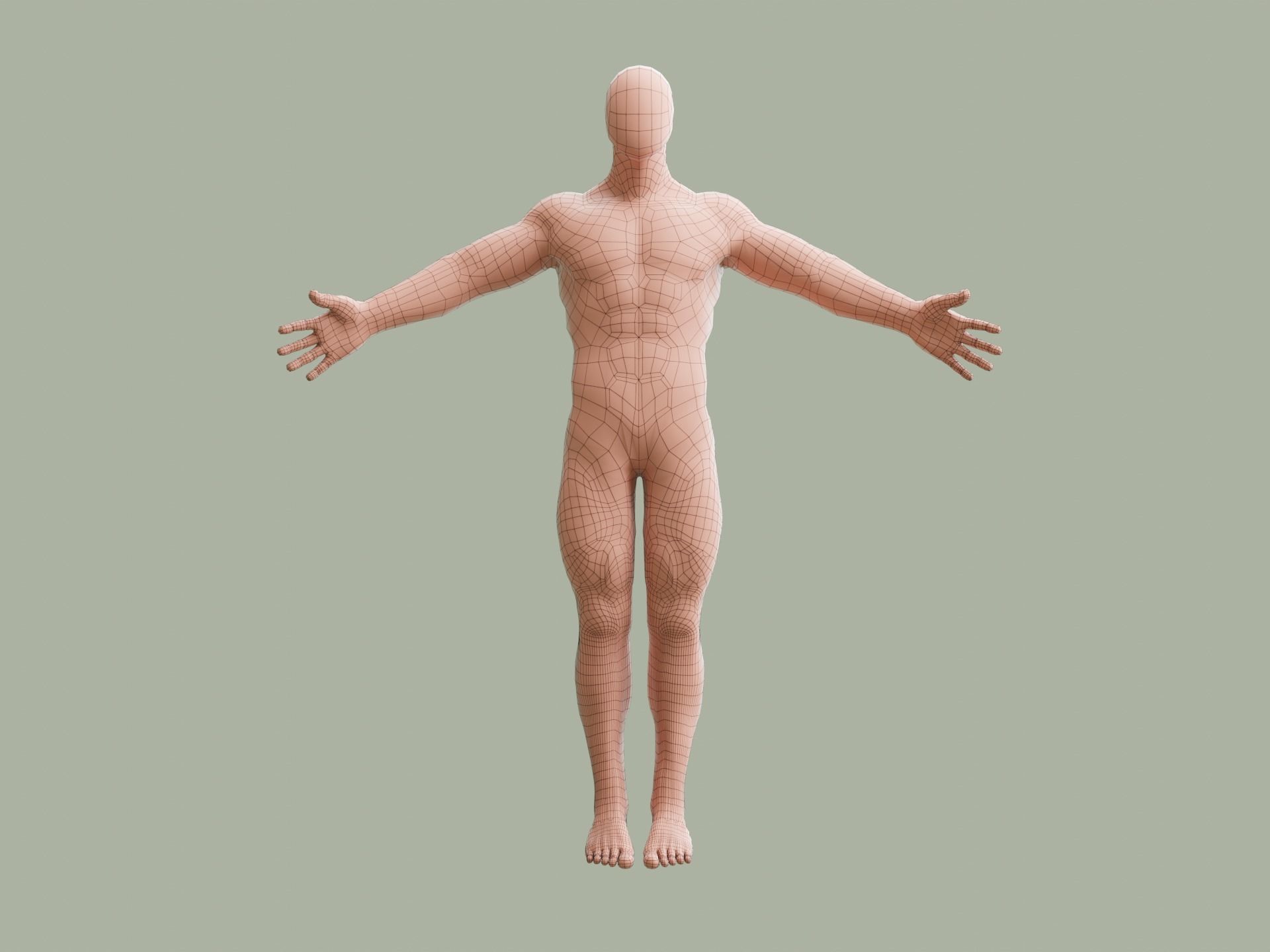 Human base model Low-poly 3D model_4