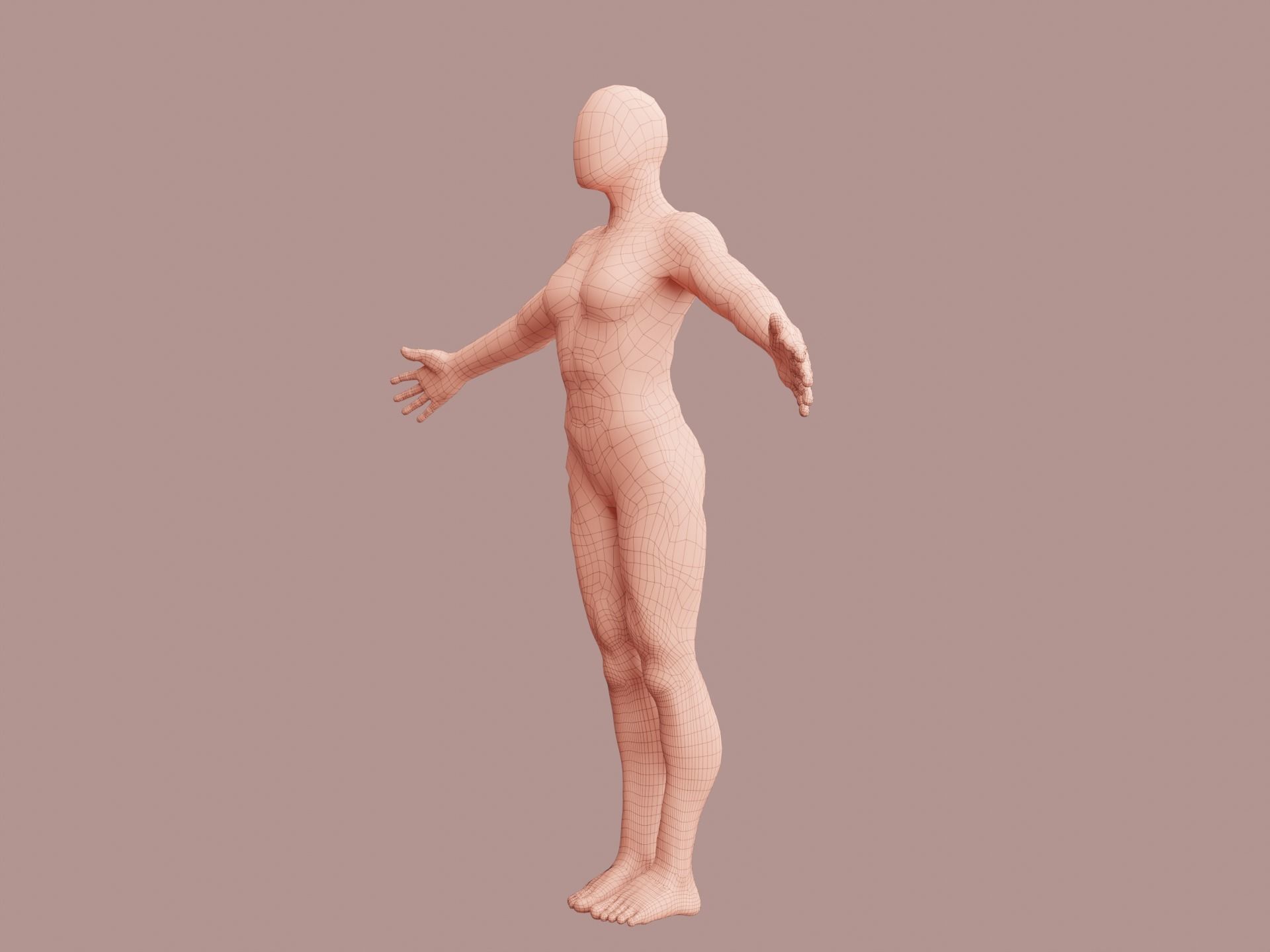 Human base model Low-poly 3D model_14