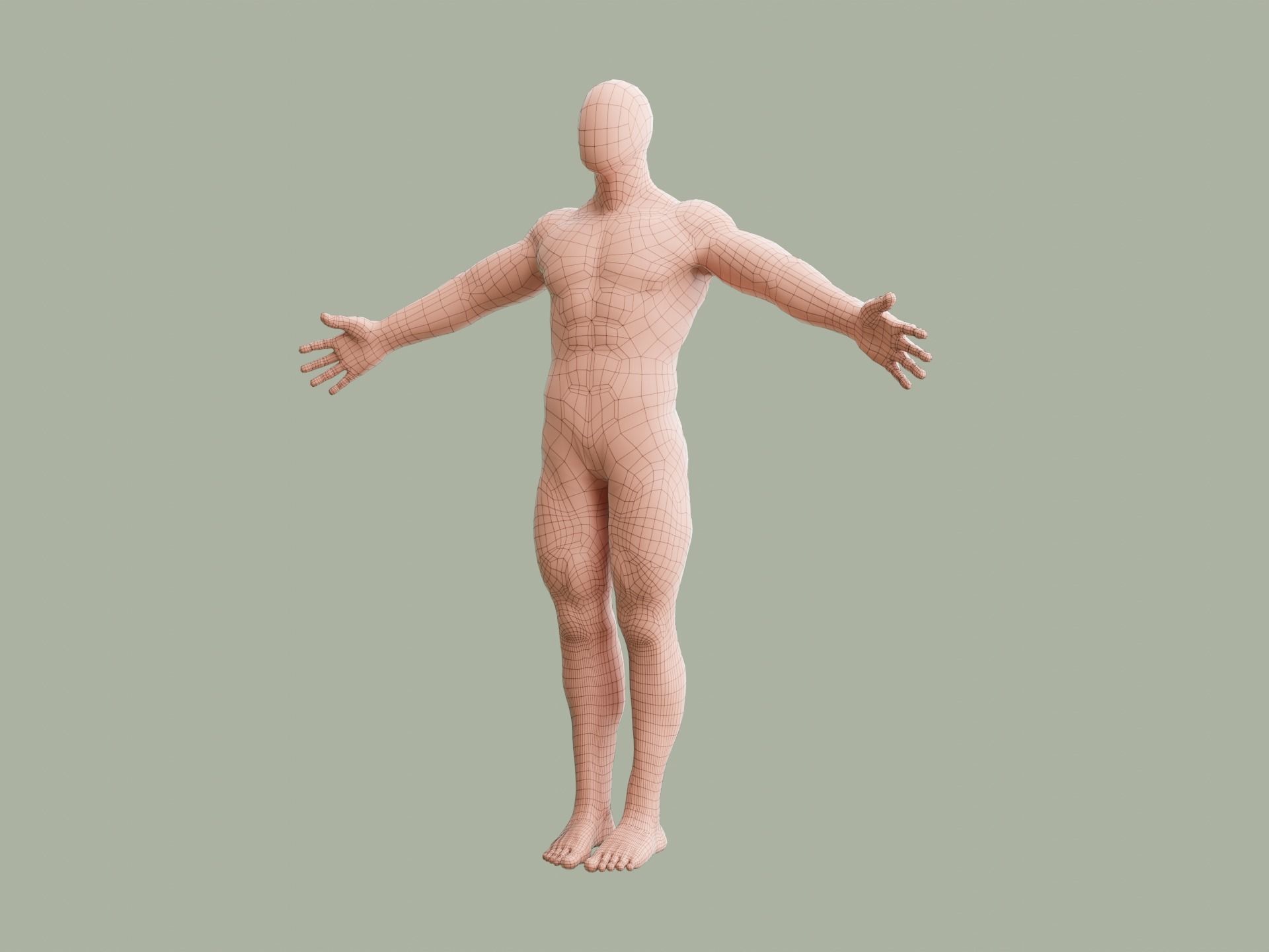 Human base model Low-poly 3D model_7