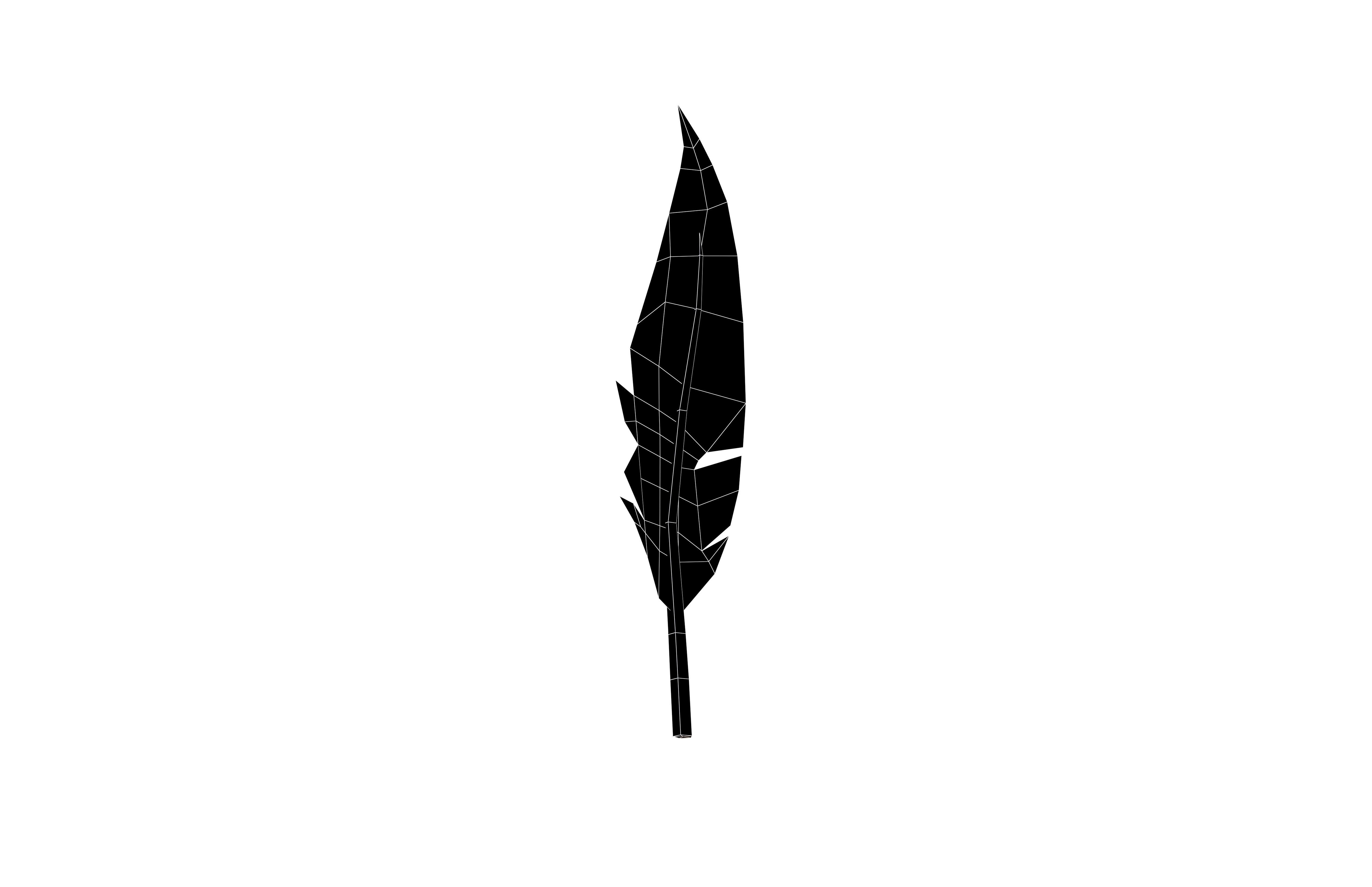 Feathers v1 005 Low-poly 3D model_6