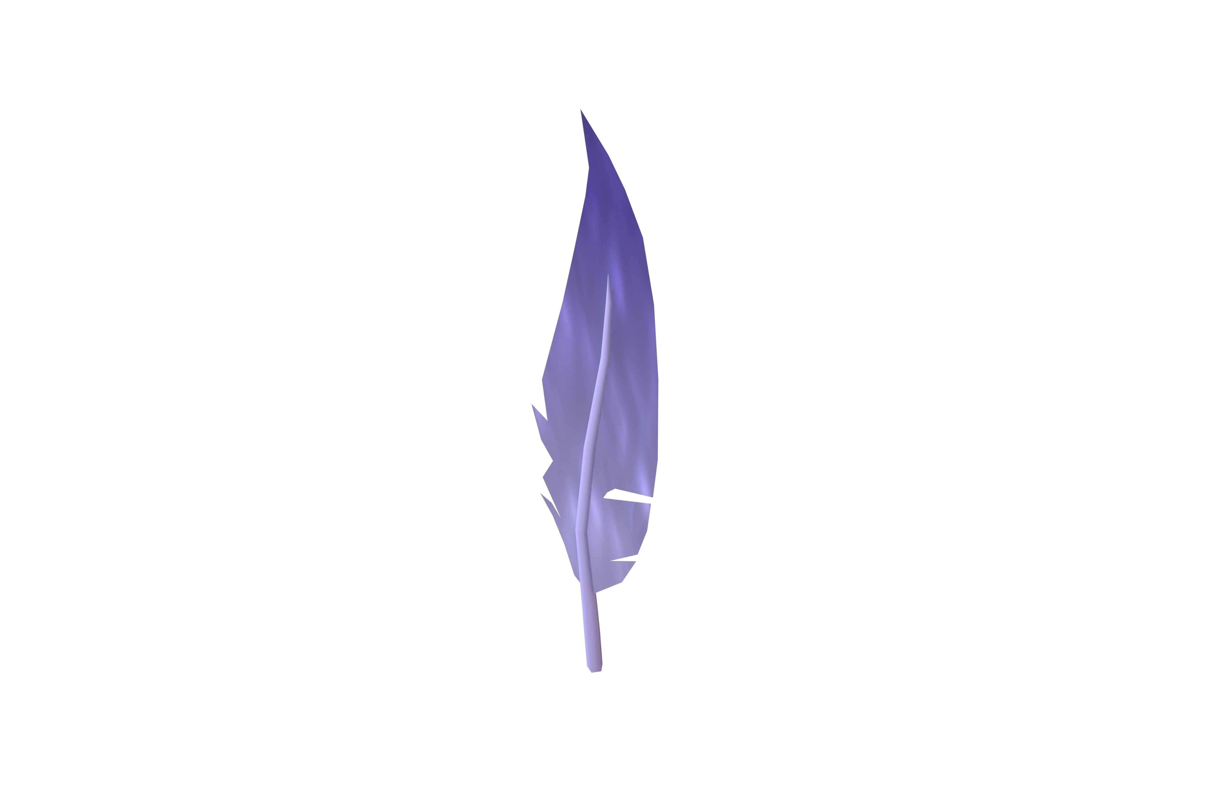 Feathers v1 005 Low-poly 3D model_2
