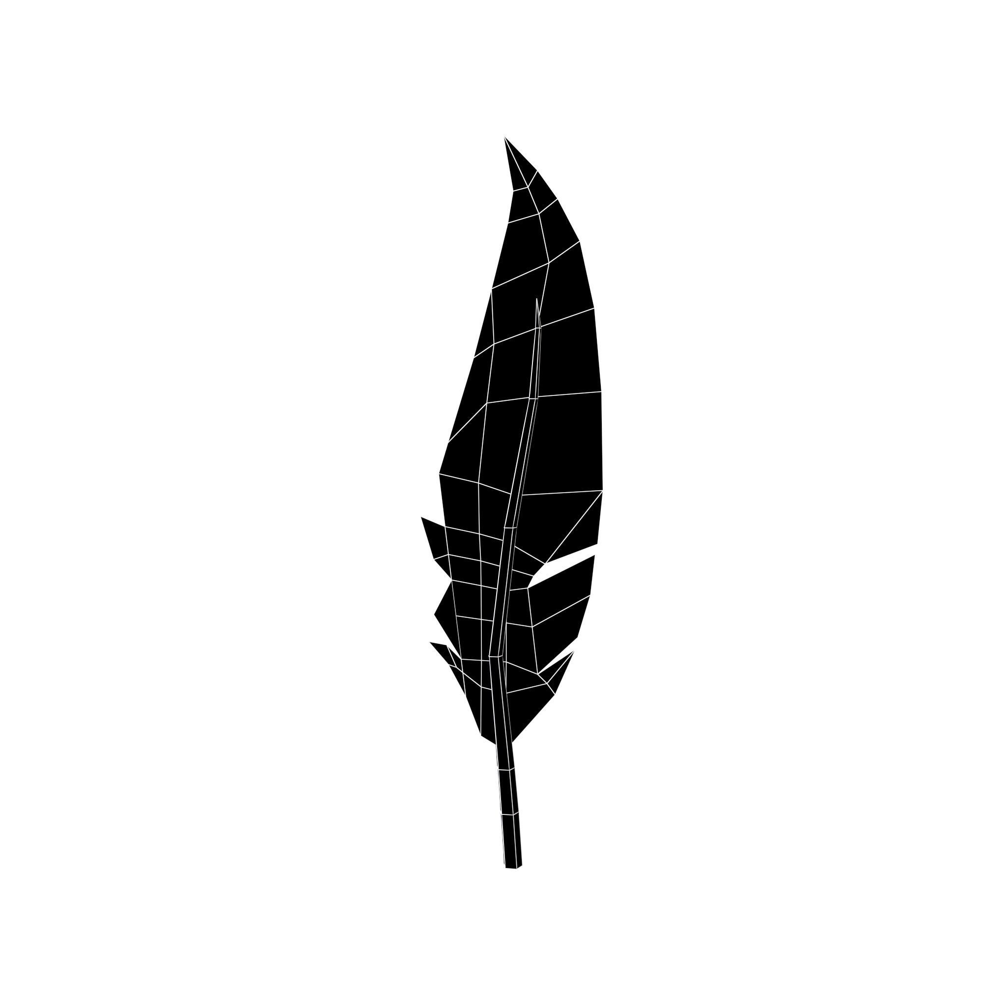 Feathers v1 005 Low-poly 3D model_4