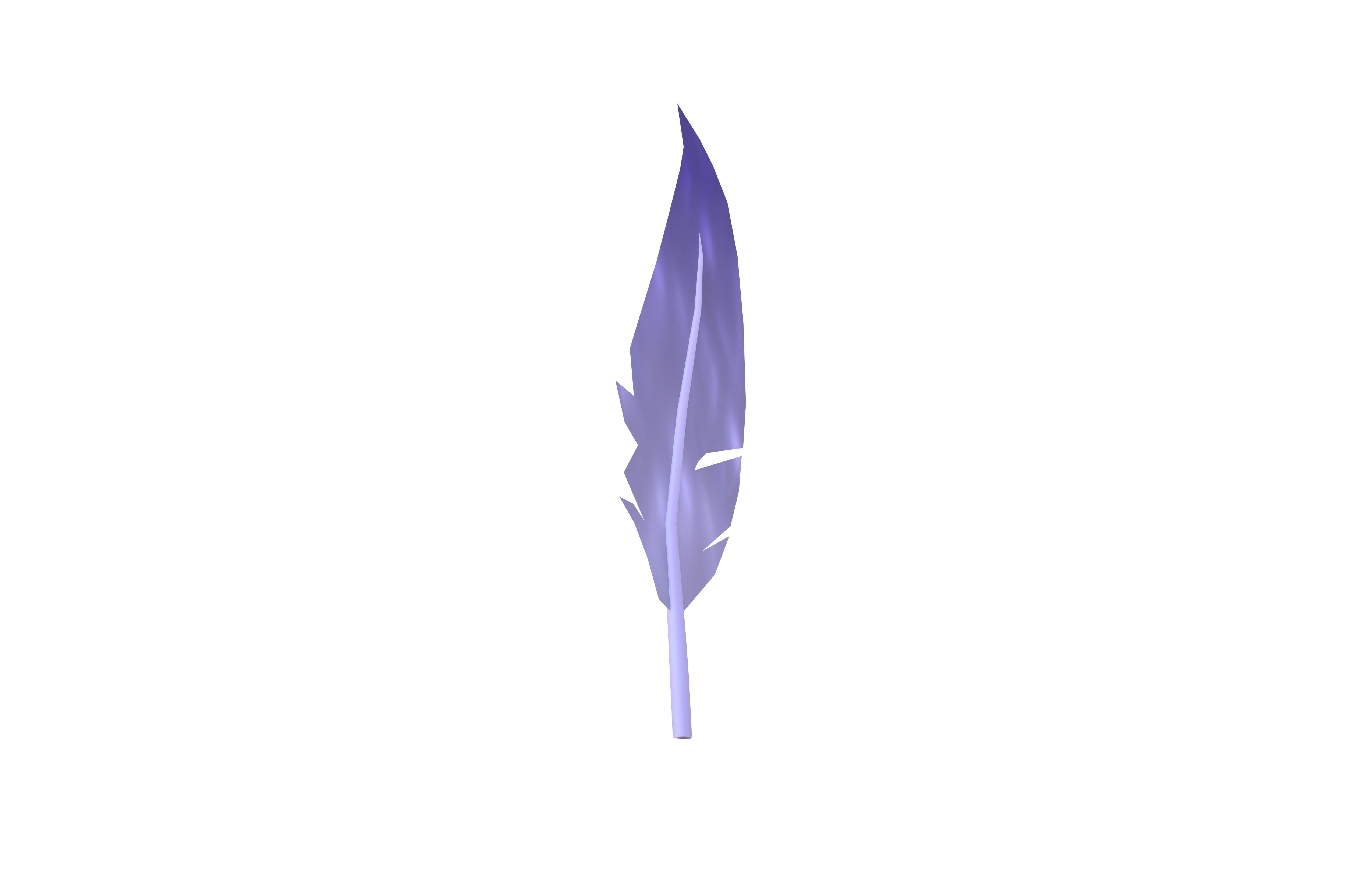 Feathers v1 005 Low-poly 3D model_3
