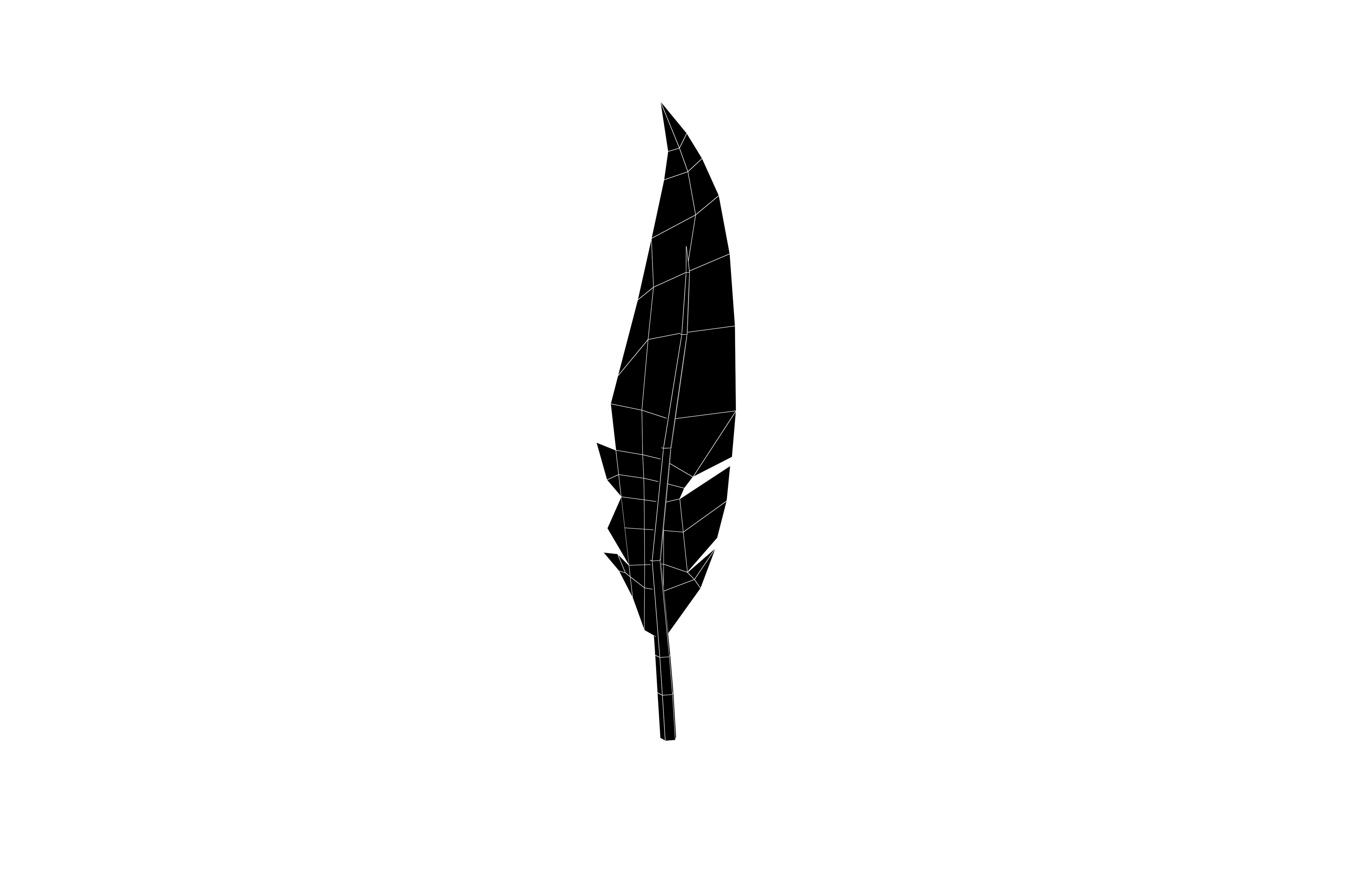 Feathers v1 009 Low-poly 3D model_5
