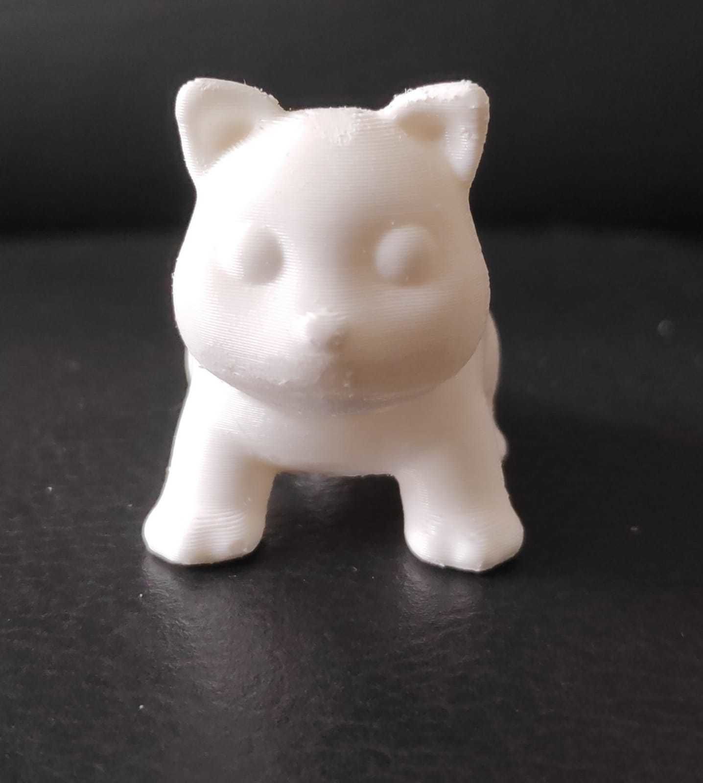 Coati 3D print model_14