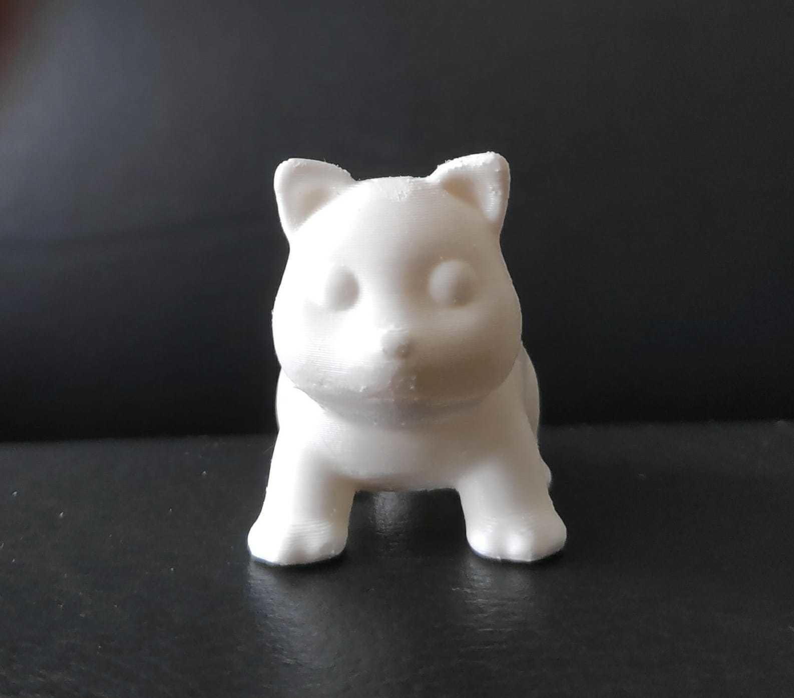 Coati 3D print model_15